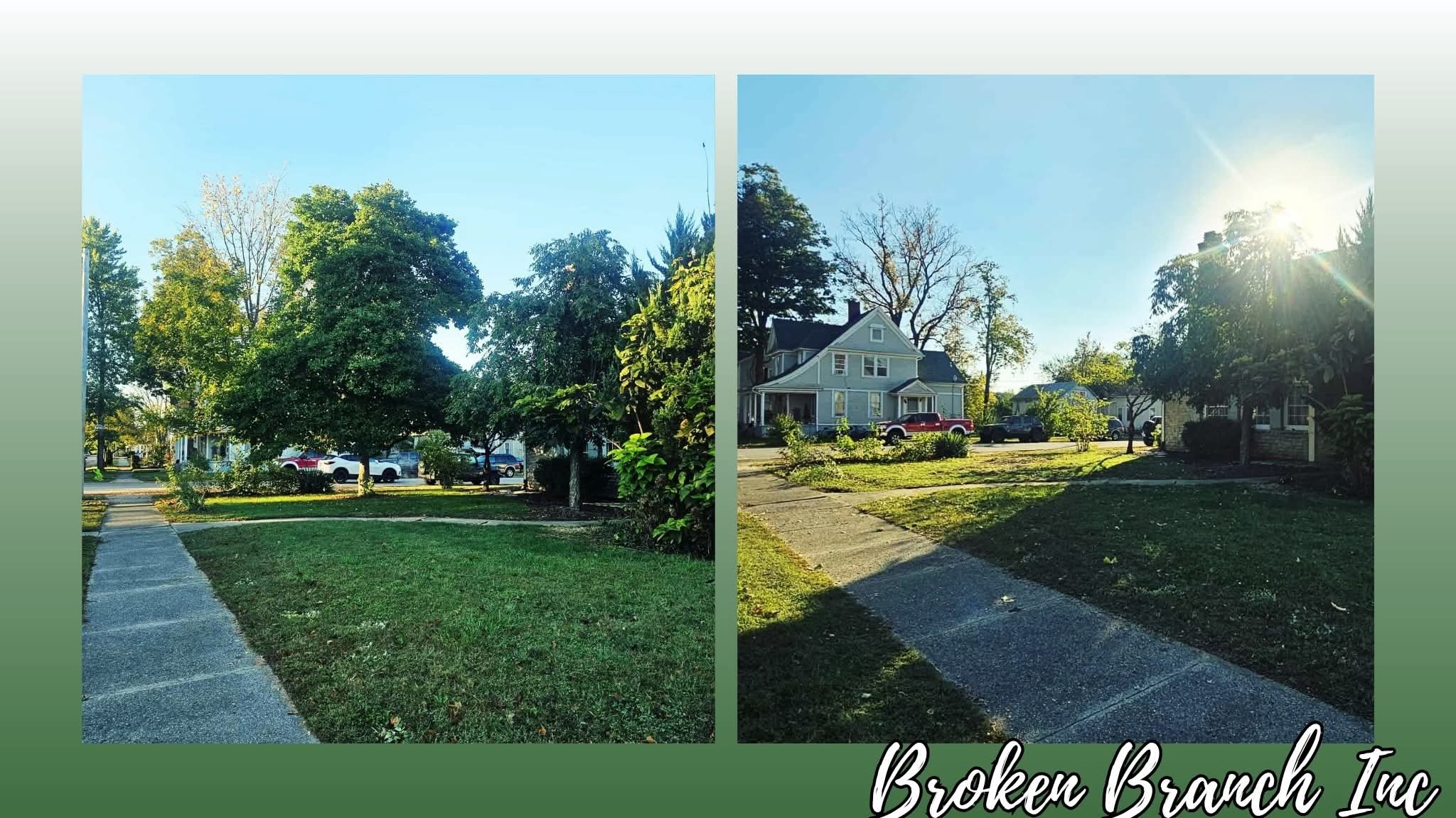 Side-by-side comparison of a residential neighborhood before and after tree removal, showing a yard with trees before and a yard with fewer trees and sunlight after, with the text 'Broken Branch Inc' at the bottom.
