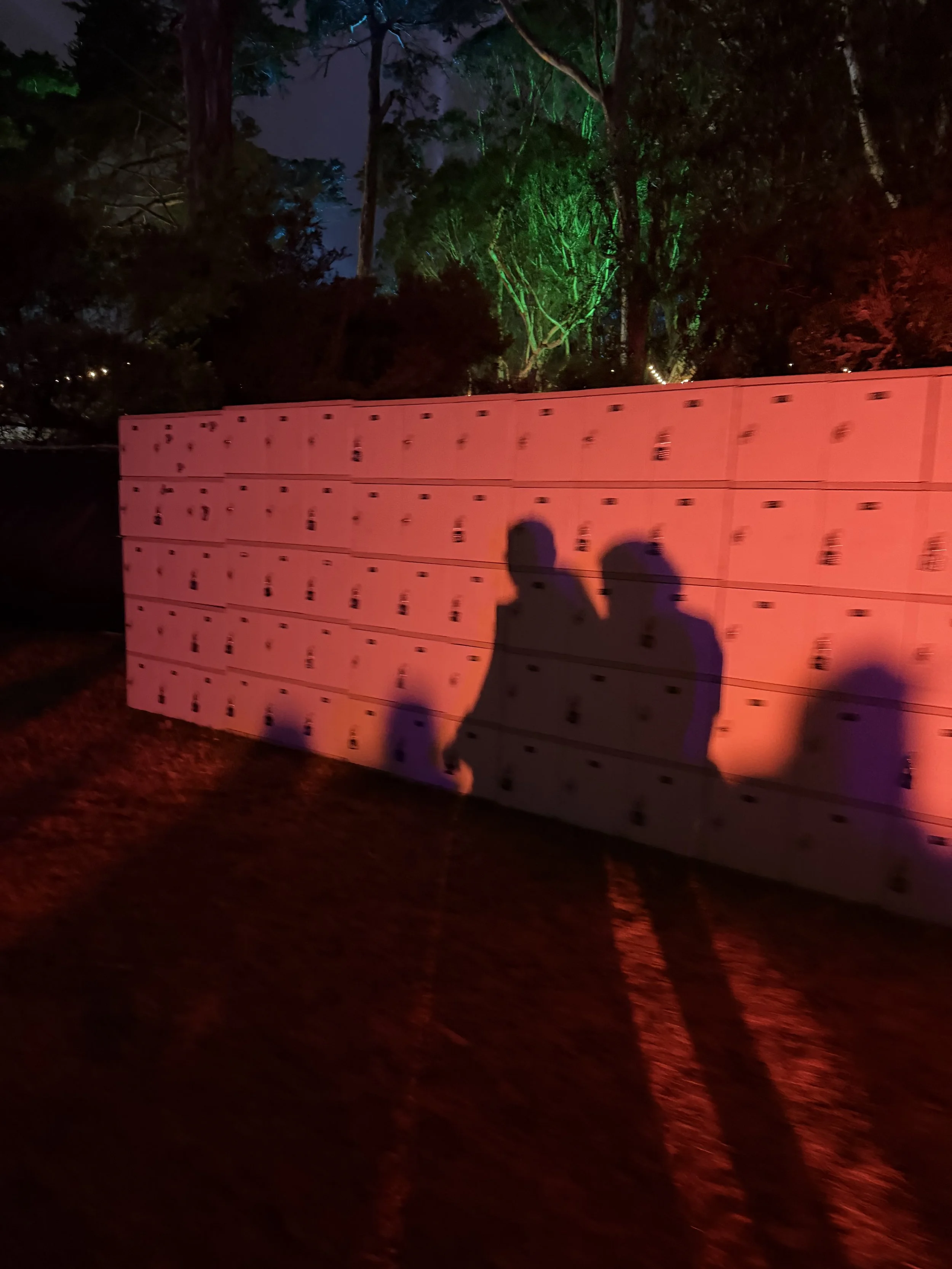 Outside Lands (Day 3) Review