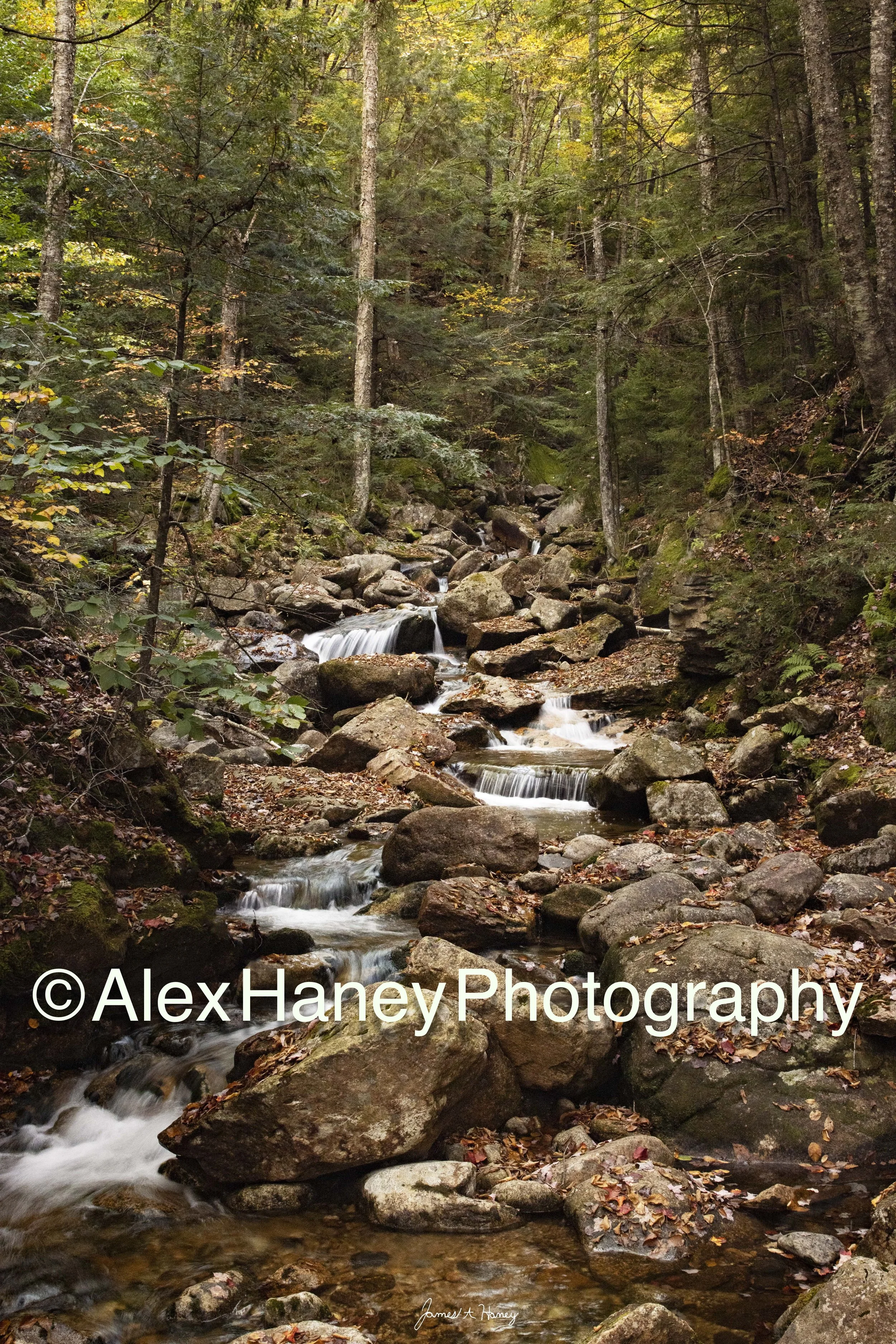 Stream RGB 1998-min.jpg