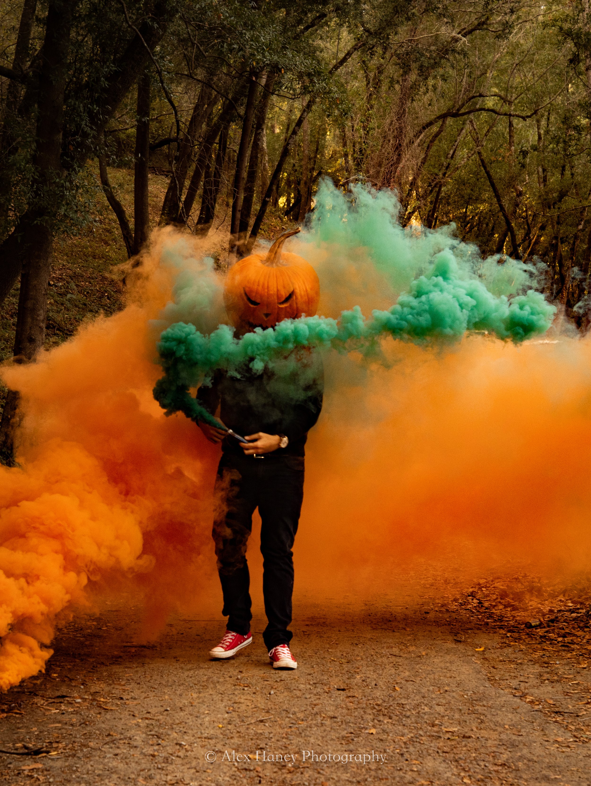 Halloween Pumpkin Heads