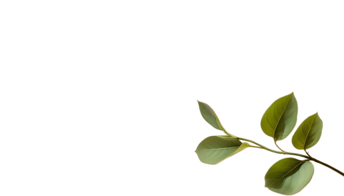 Sage green leaves representing growth and renewal at Sagelight Counseling Studio