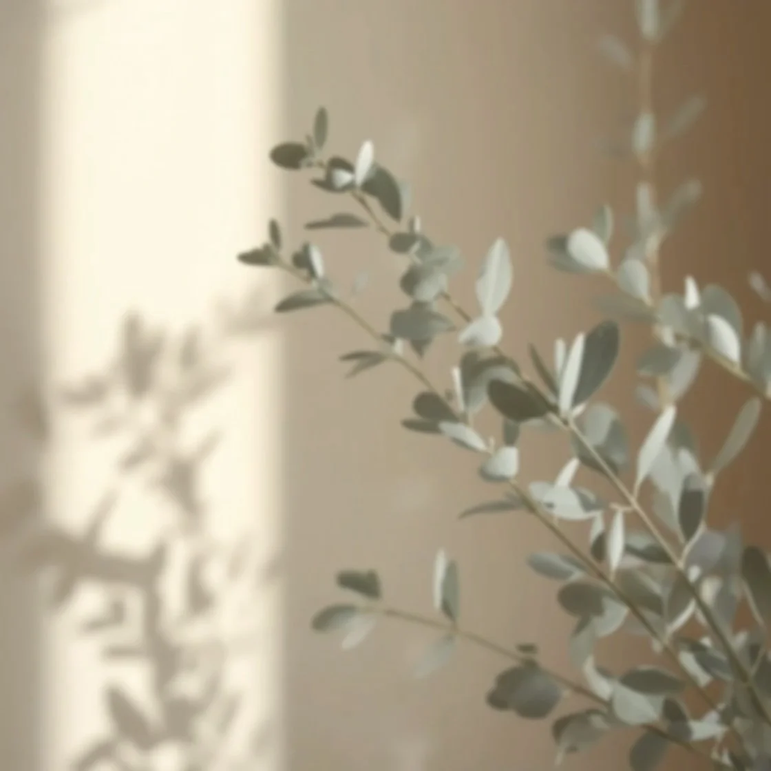 Close-up of a plant with silvery-gray leaves. The background is blurred with neutral tones, emphasizing the plant's delicate foliage reflecting the peaceful environment of Sagelight Counseling Studio..