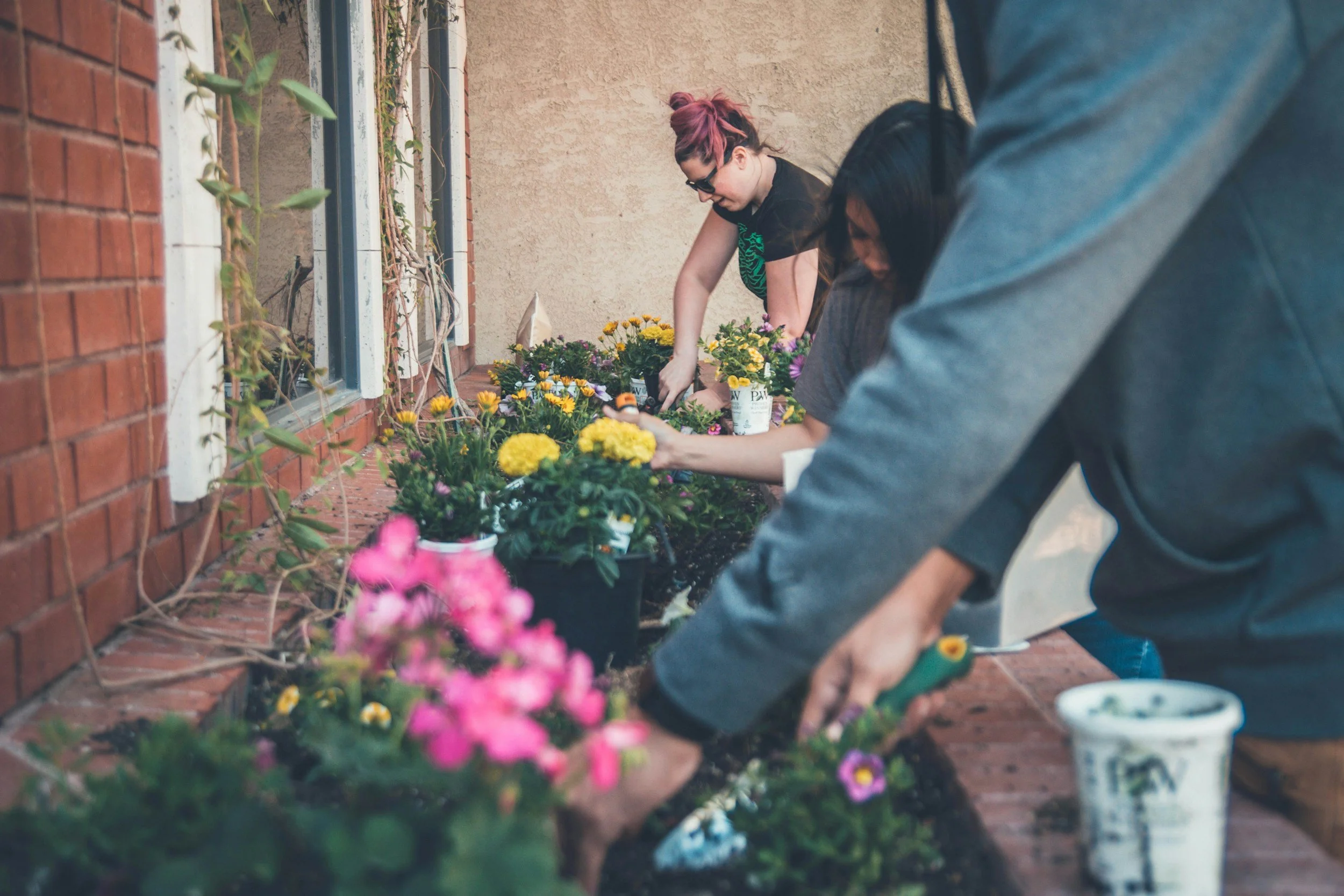 People planting flowers in flower beds outside on a brick sidewalk.