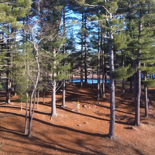 Golf Course Media package