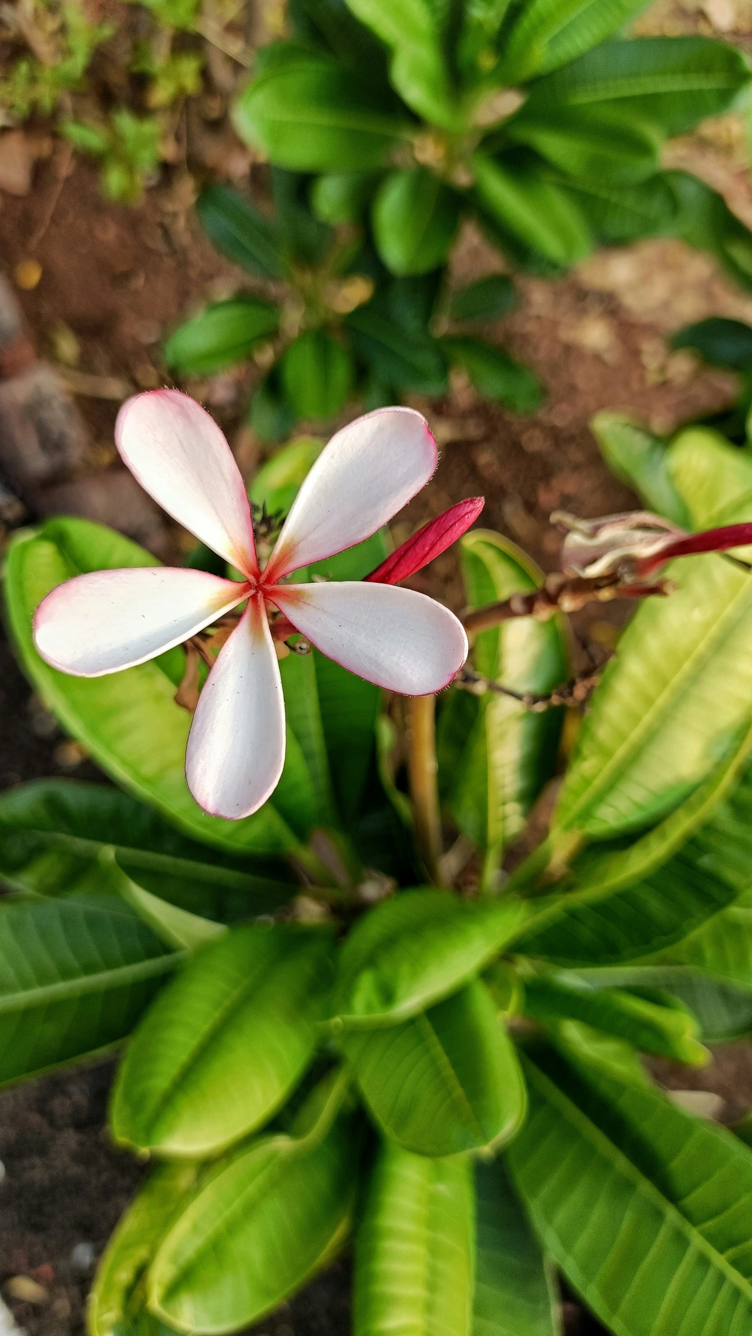 Give Yourself Permission to Thrive