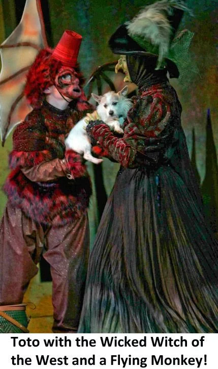Flying Monkeys: What They Are + How to Respond Without Losing Your Peace