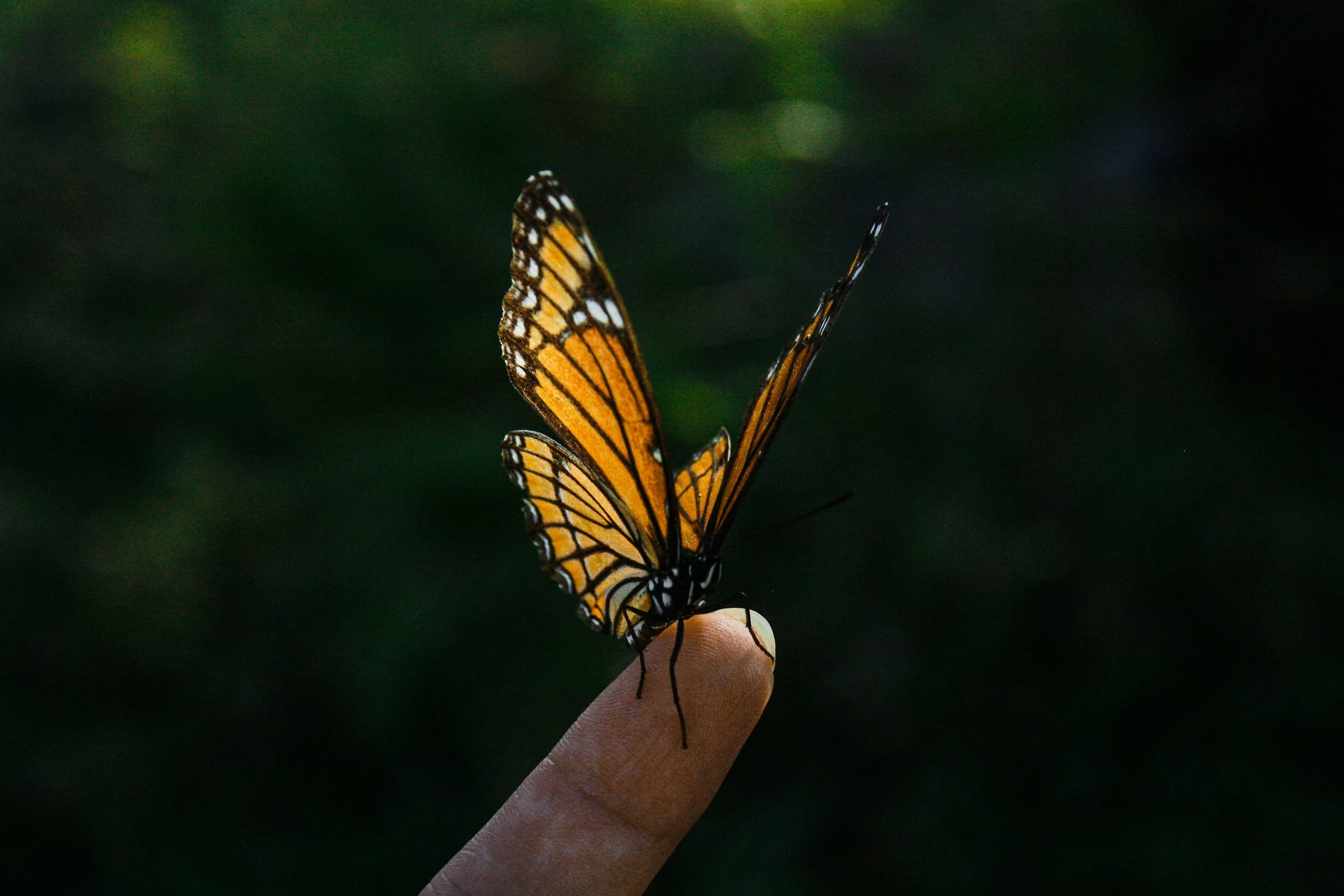 Healing starts…                                 When the narrative is shifted