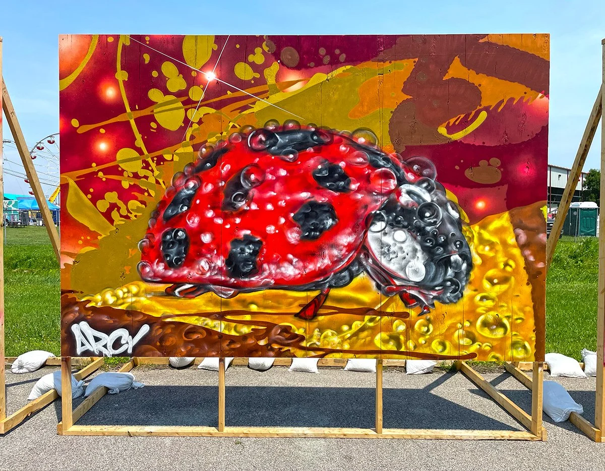 Delaware State Insect - The Ladybug