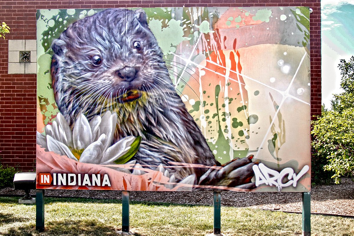 Colorful mural of an otter holding a flower, with a surprised expression. The background has splashes of green, beige, and other colors, and the mural includes the words 'IN INDIANA' and the signature 'ARCY'. LIVE EVENT MURAL PORTER INDIANA DUNES