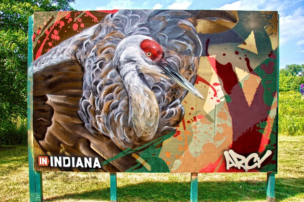 Graffiti art of a heron with a red eye on a painted wooden panel, with splashes of red, green, and orange paint in the background, located outdoors in Indiana. ARCY LIVE EVENT MURAL PORTER INDIANA DUNES