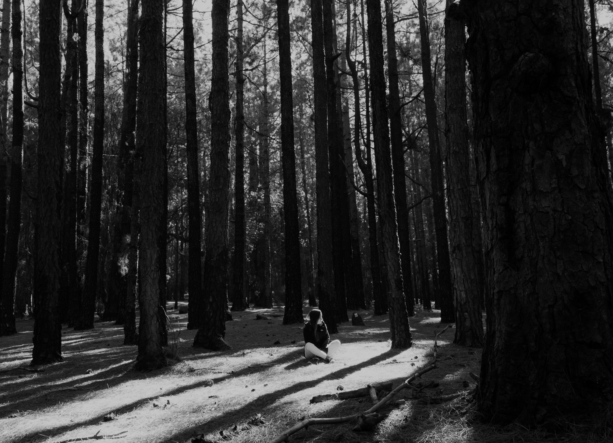 _MG_1239-Edit_1 autoretrato.png