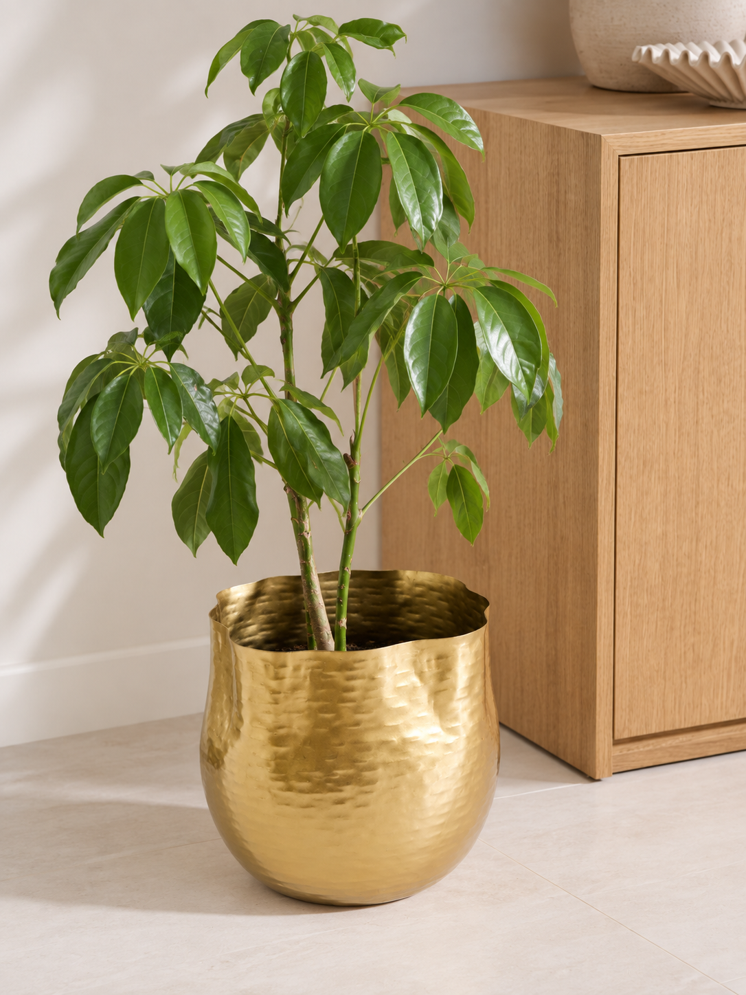 gold plant pot for home.png