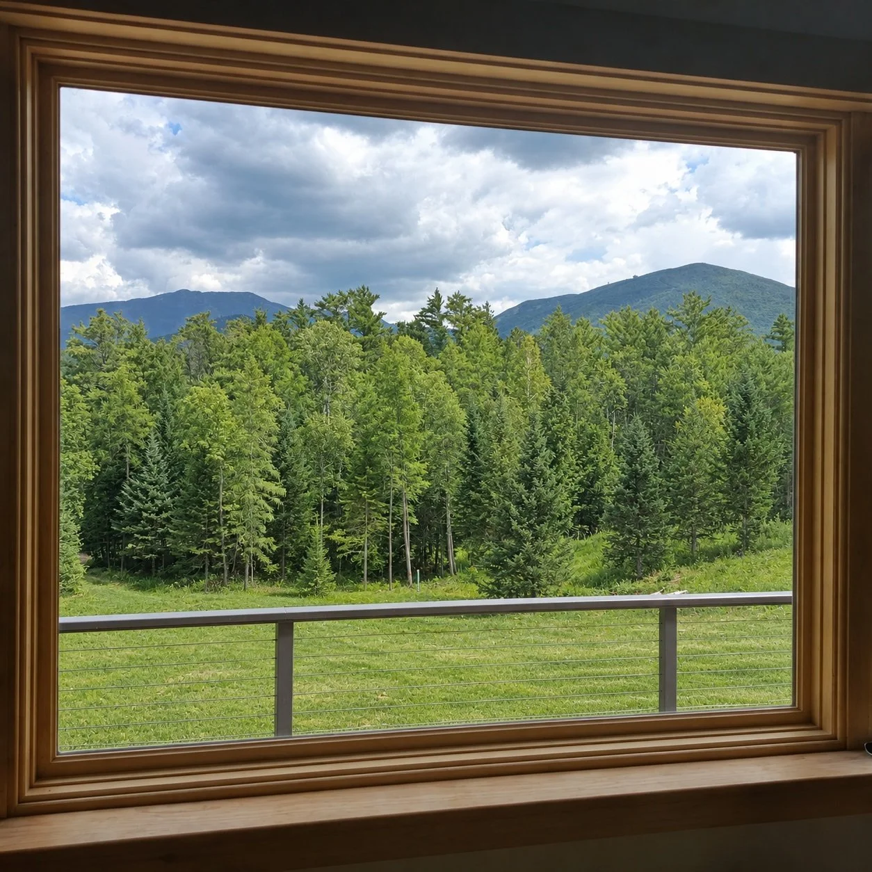 window_view_grass_cleanup.jpg