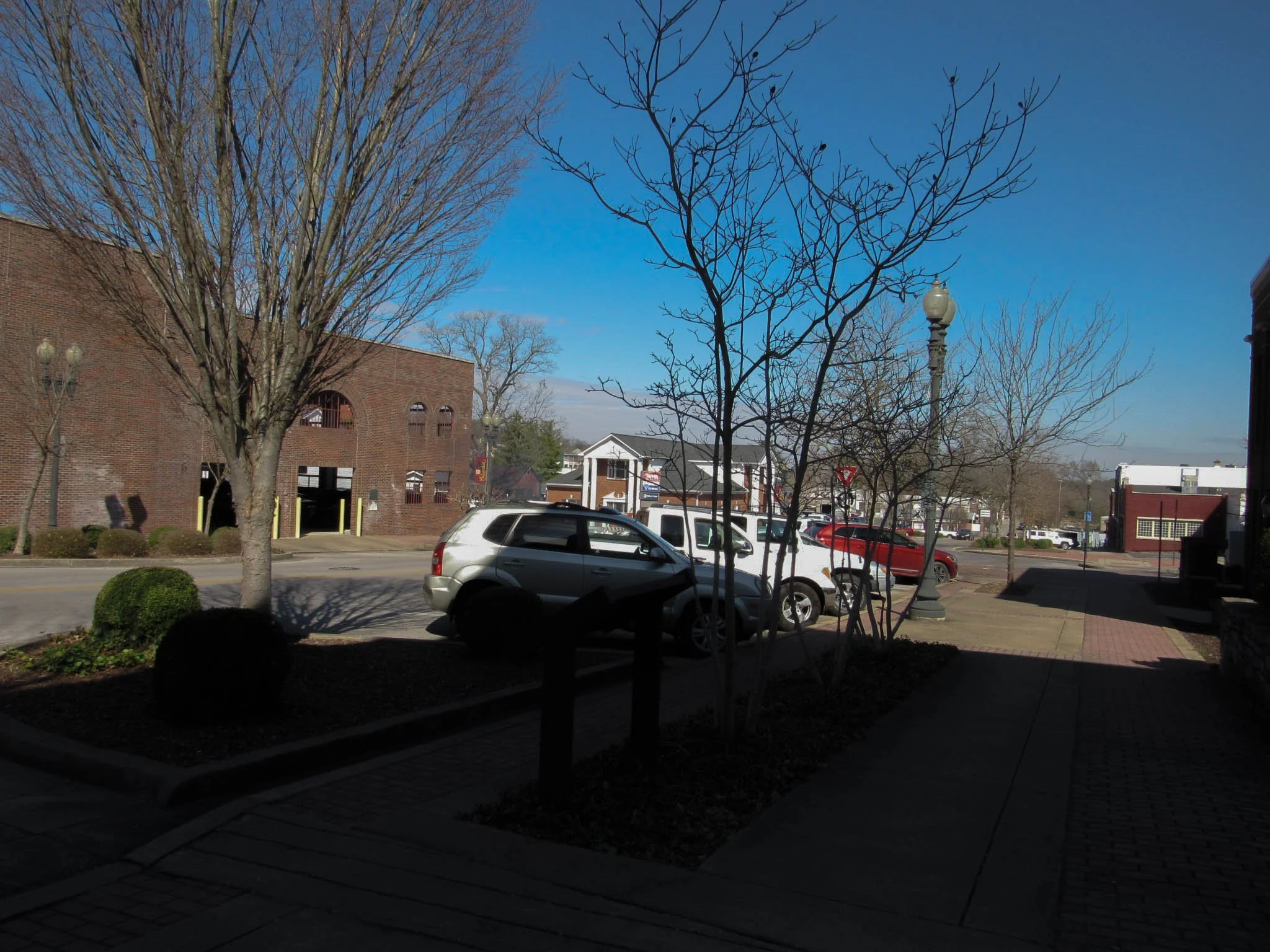 A street scene with parked cars, leafless trees, a brick building, and a sidewalk on a sunny day with a bright blue sky.