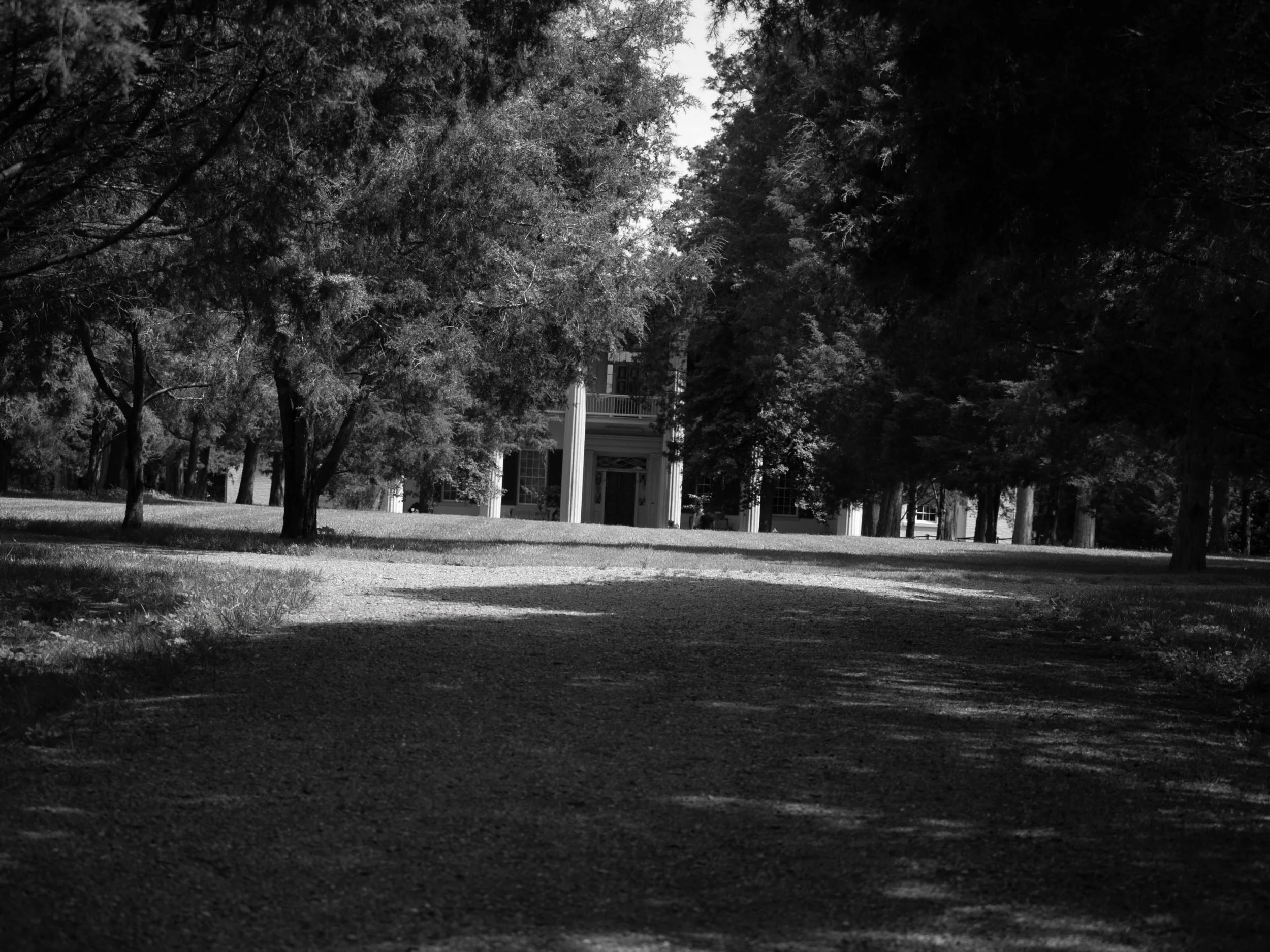 A black and white photo of a dirt driveway leading to a large house partially hidden behind trees in a wooded area.