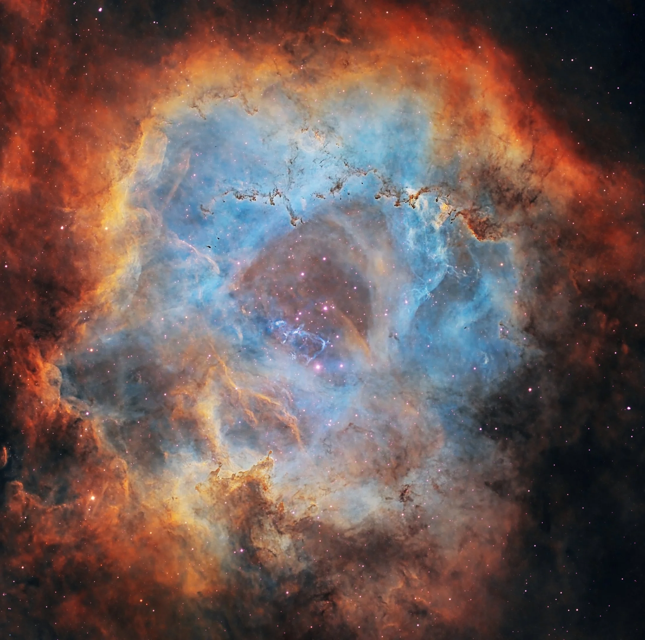 Rosette@400 (4K).jpg