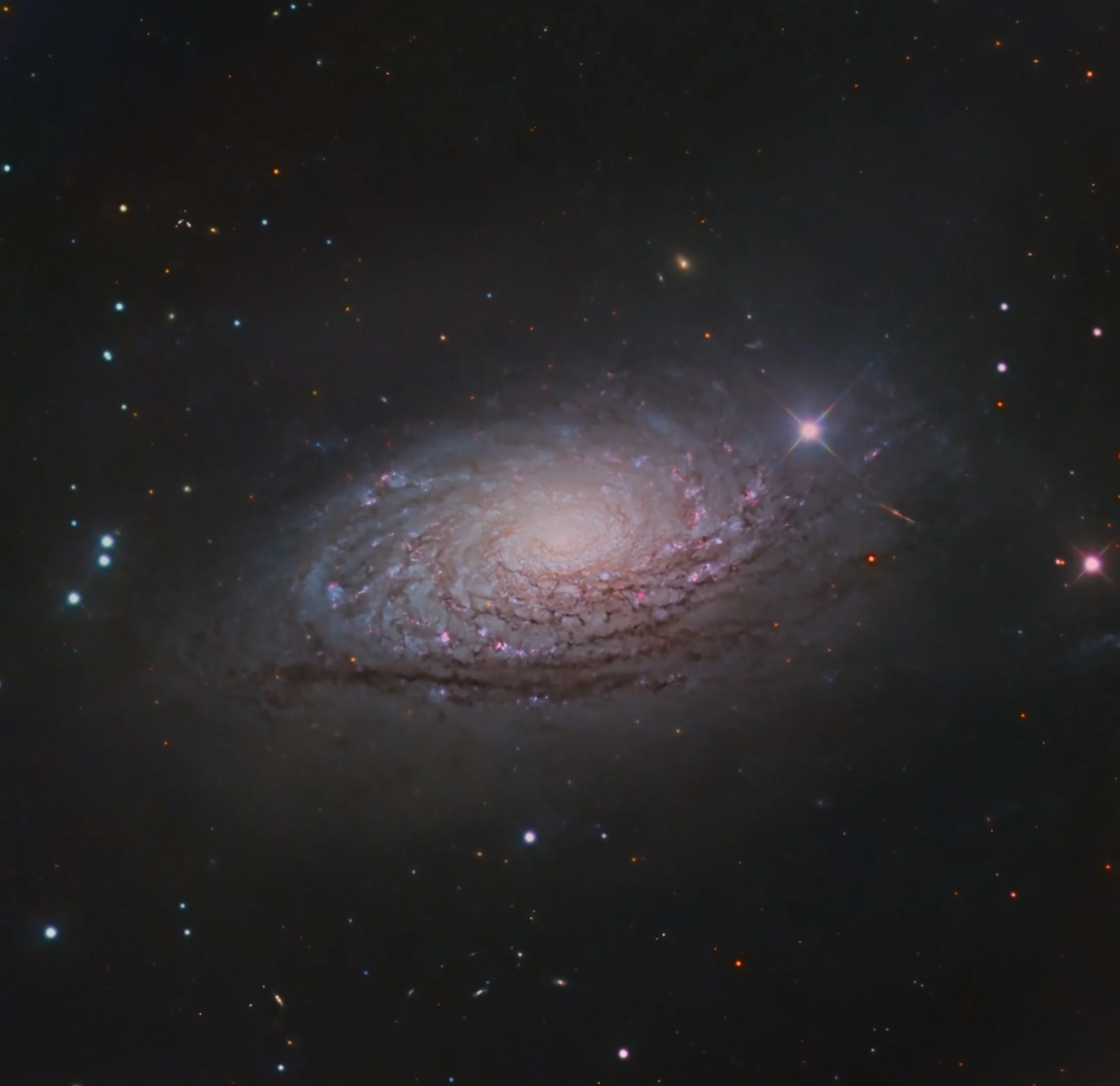 Image10_ABE_ABE (4K).jpg