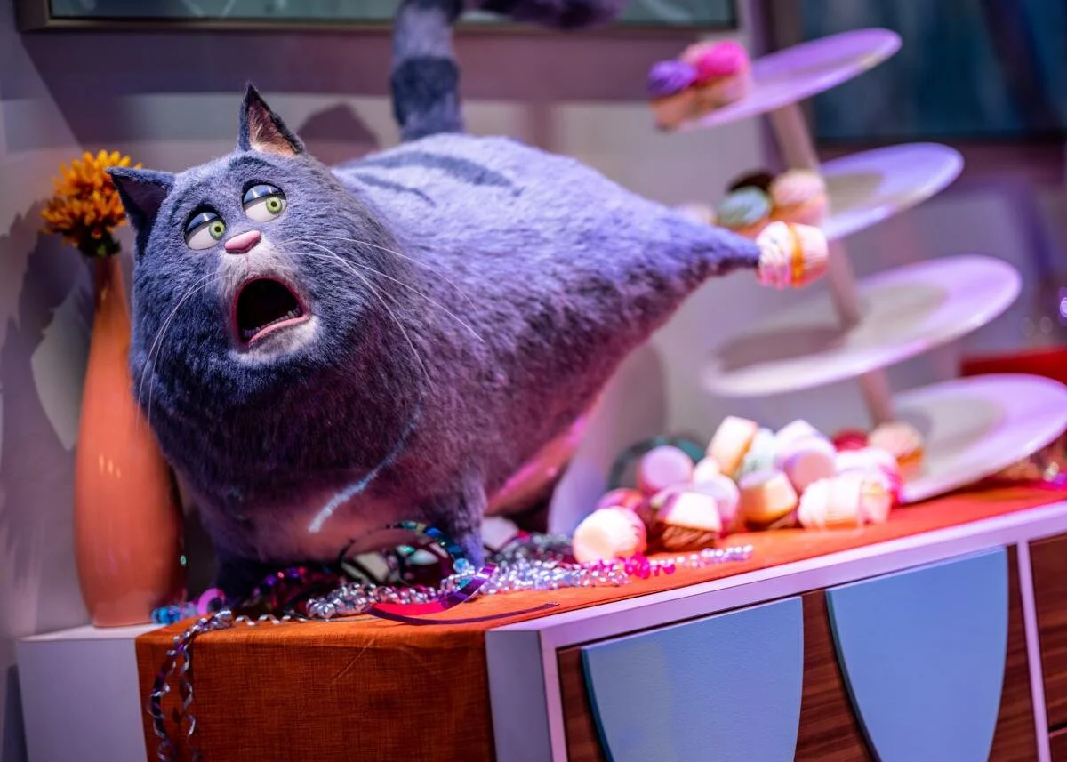 Secret Life of Pets Off The Leash Universal Studios Hollywood, Chloe the cat animatronic.