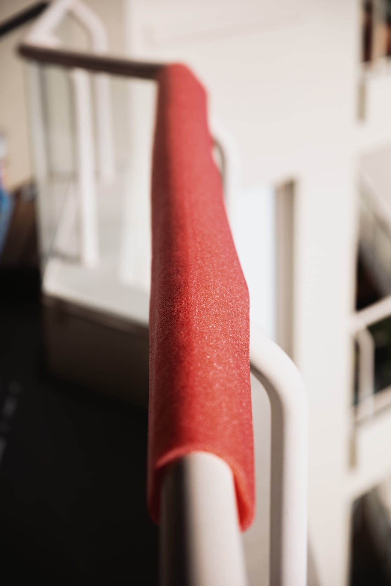 SD_TORO_0412.jpg