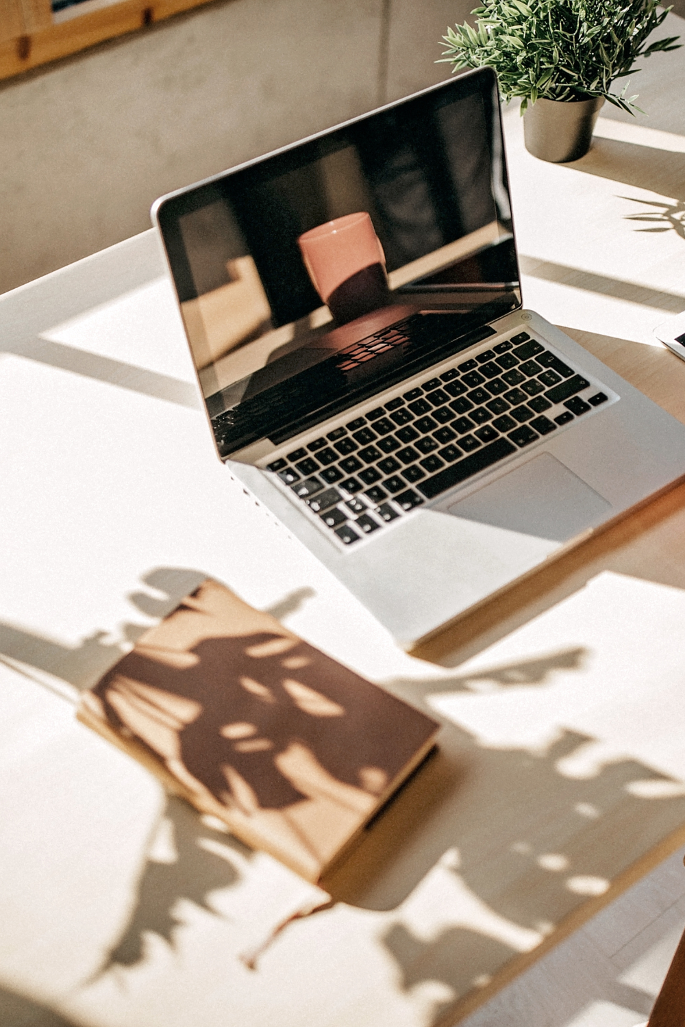 Services | Enhance Your Finances Today — Abacus360 Bookkeeping