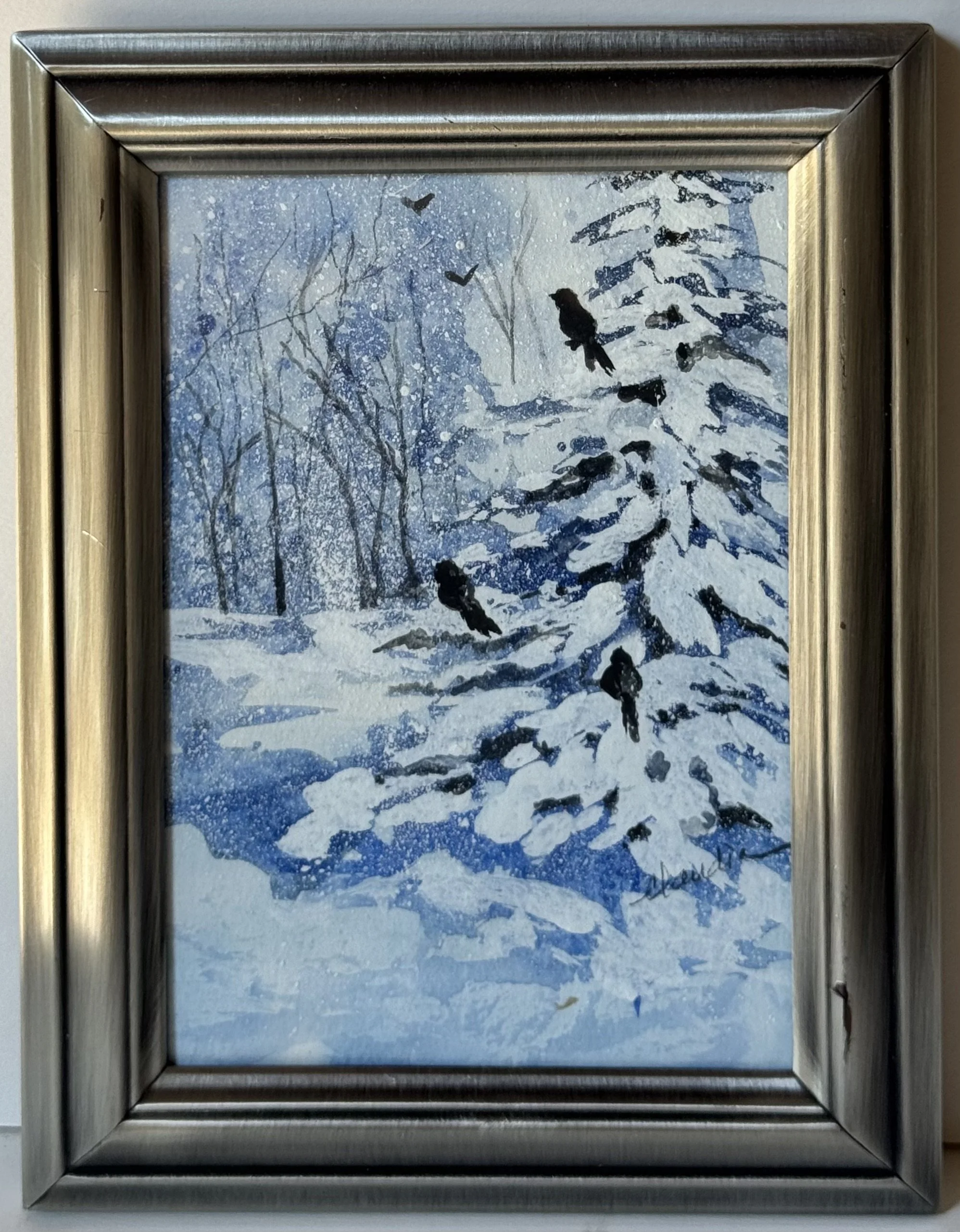 Winter Visitors