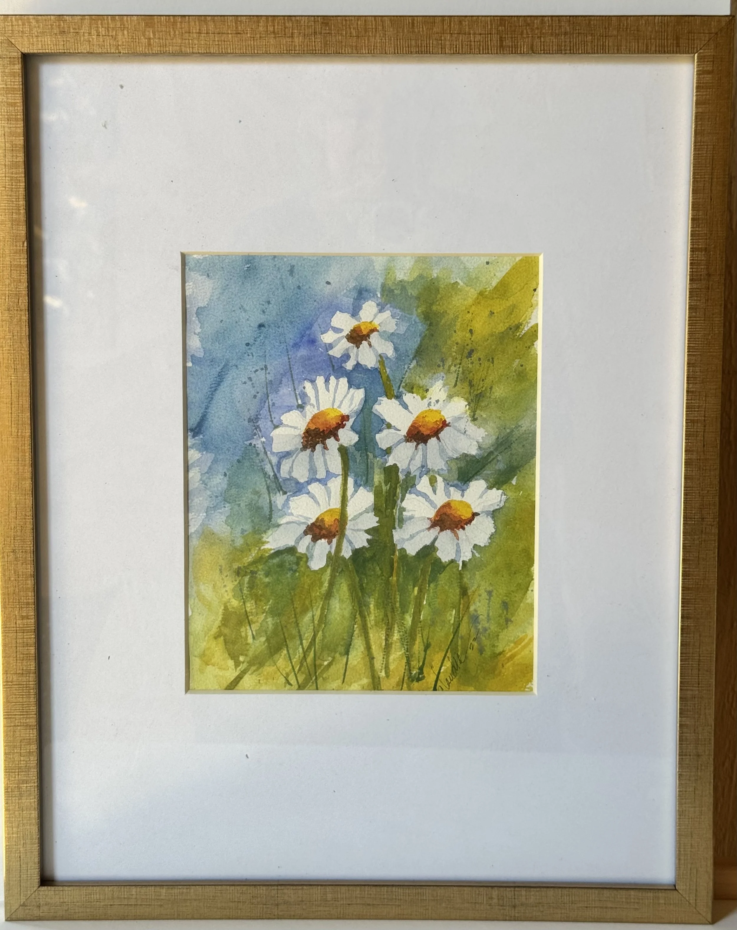 Morning Daisies