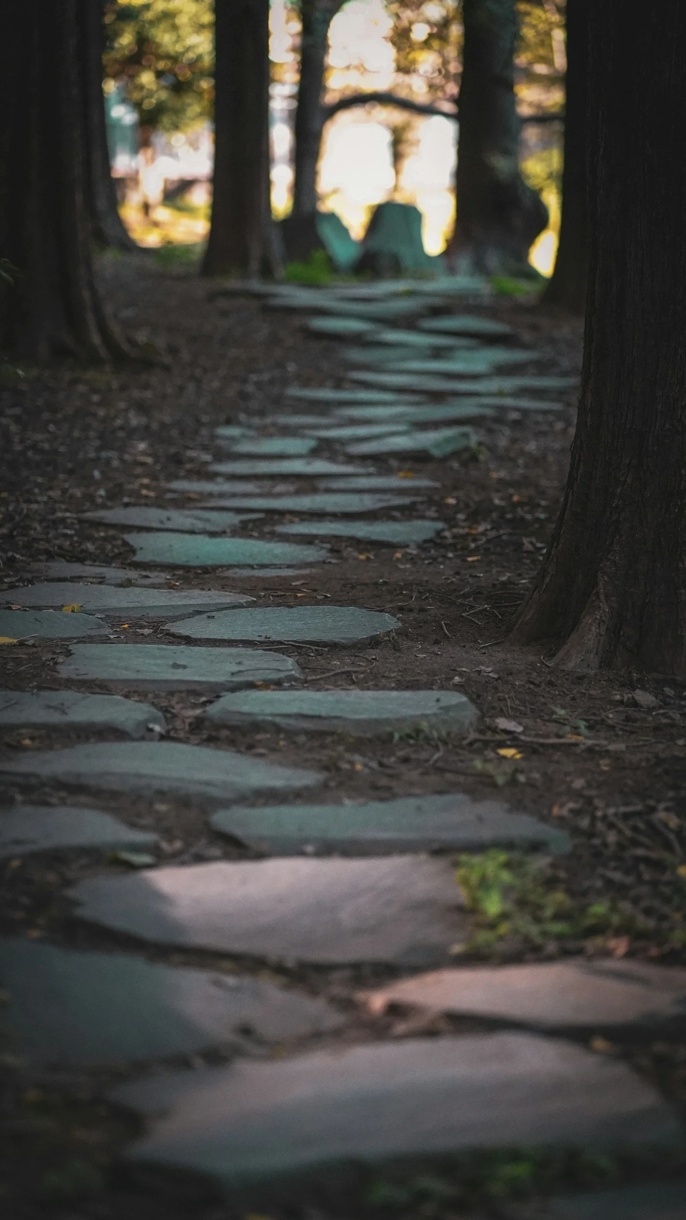A stone pathway winding through a wooded area, with trees on either side, leading to a blurred background of outdoor chairs or sculptures.