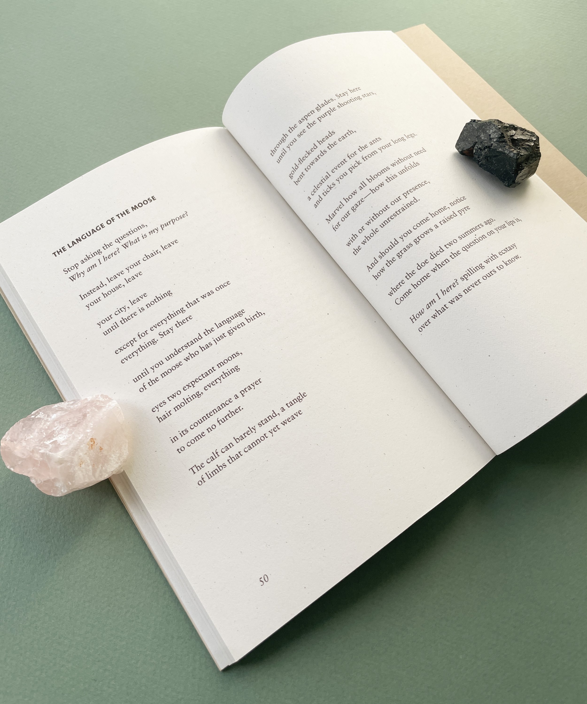 Dust Rises like Mist