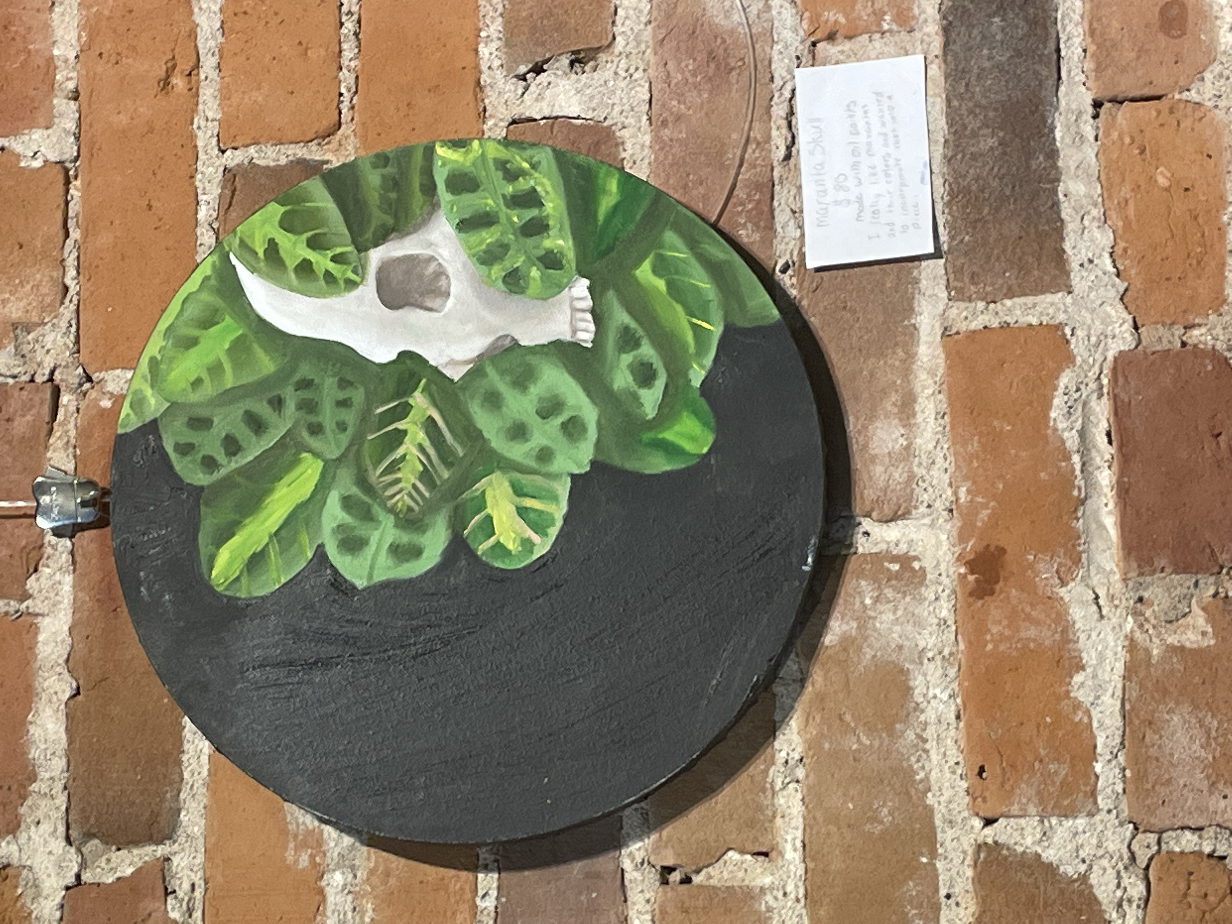 skull #5 
oil on canvas
2023