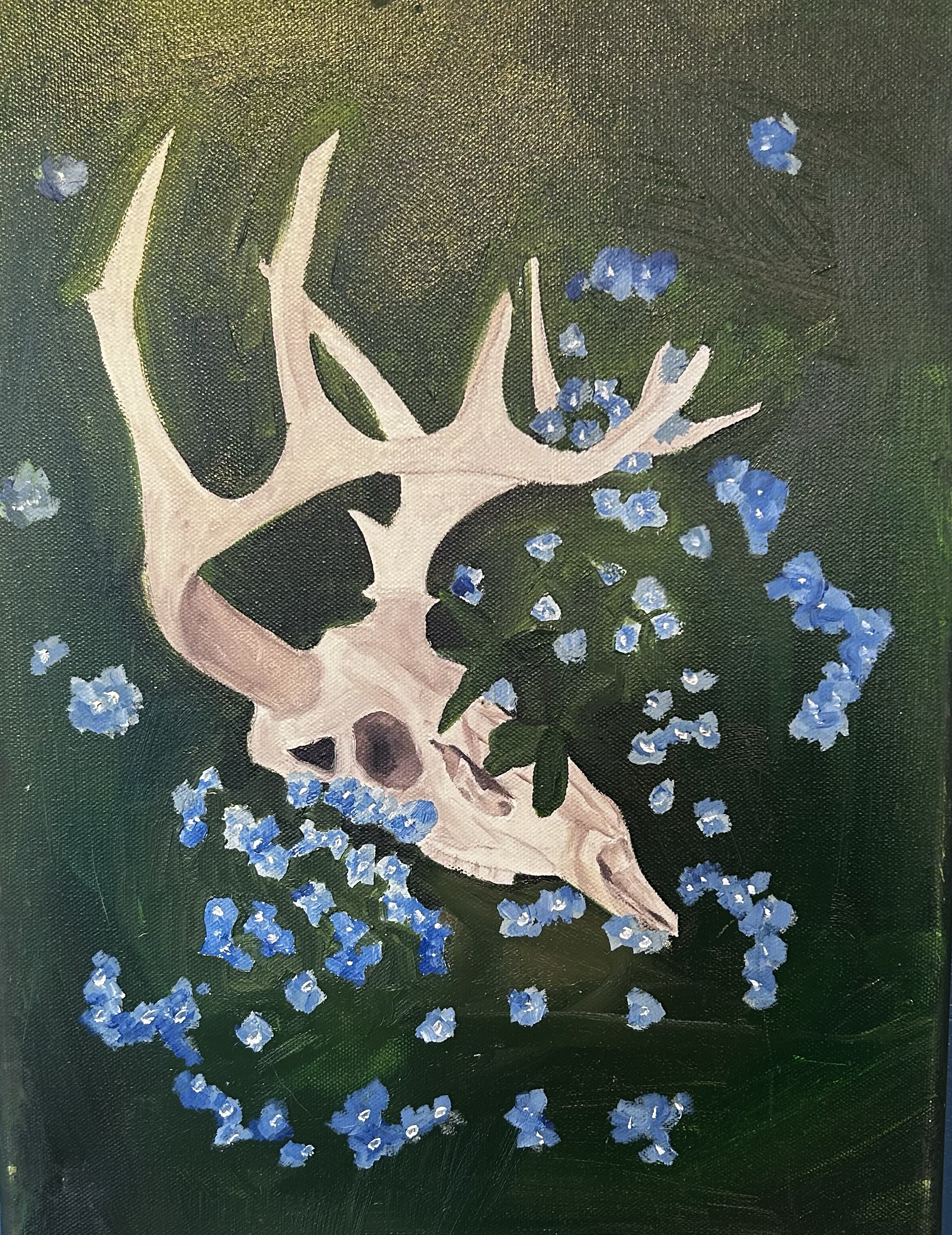 skull in a field of blue 
oil on canvas 
2023