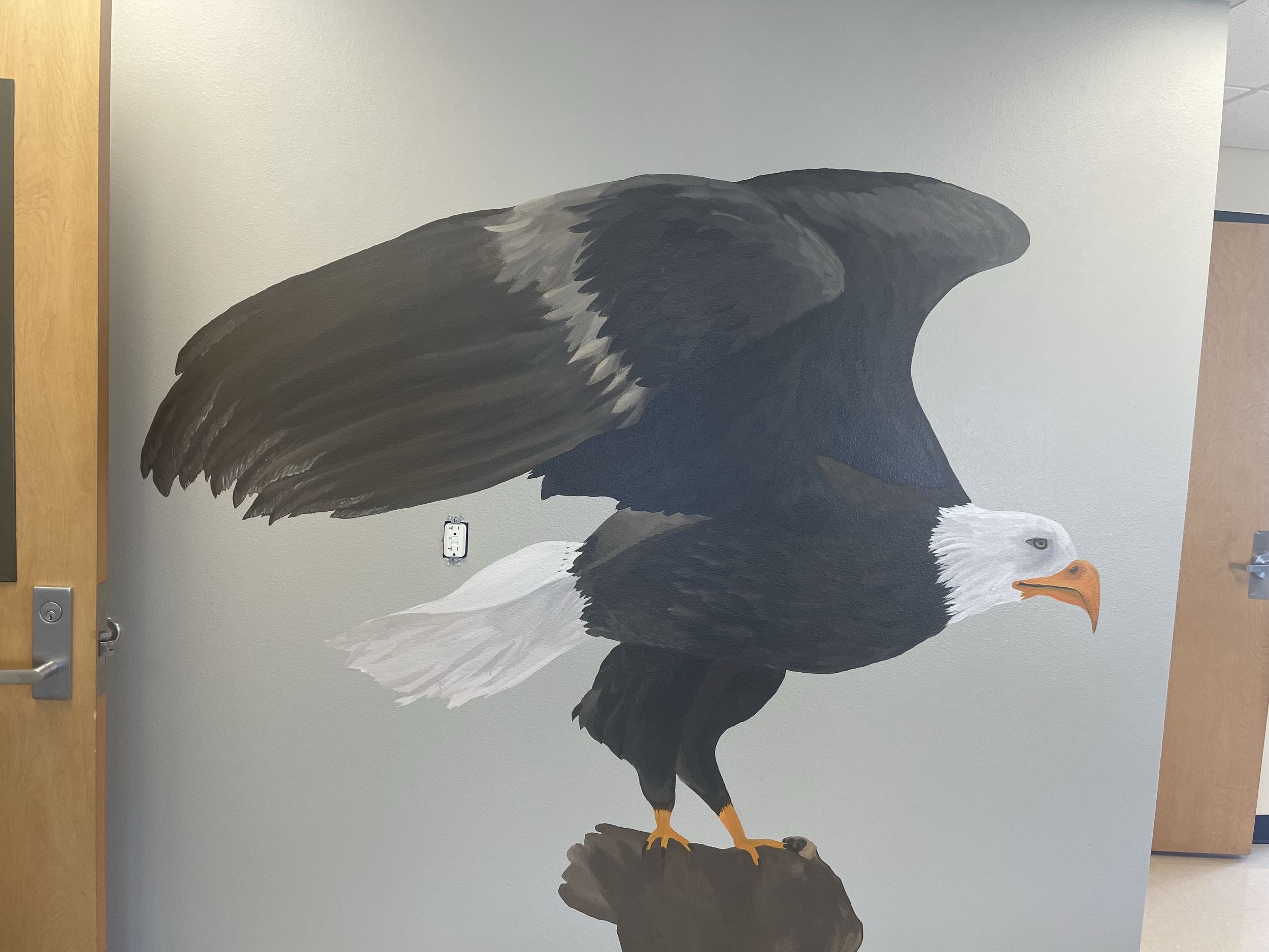 eagle mural 
house paint on wall 
2023