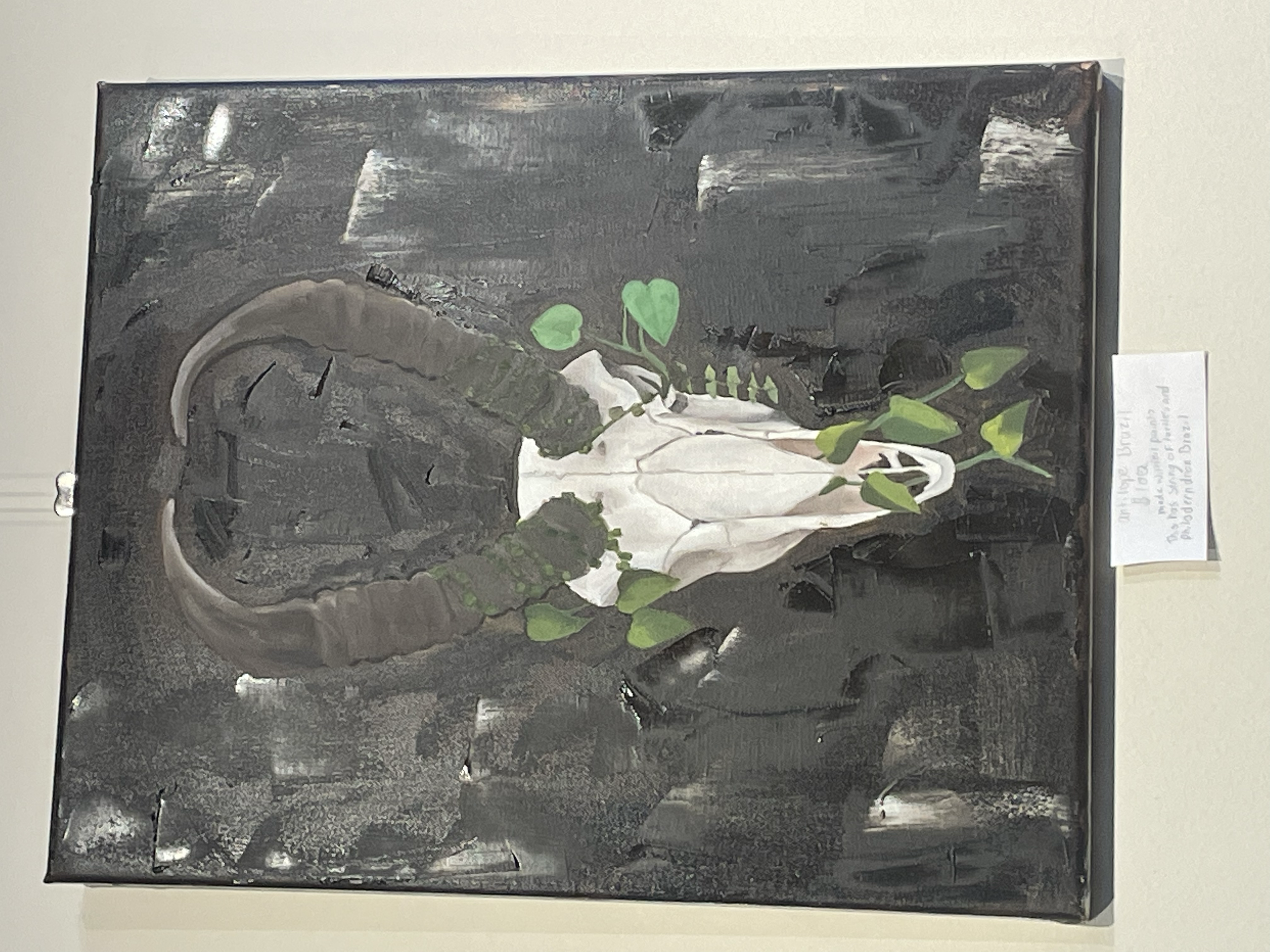 Skull #6
oil on canvas 
2023