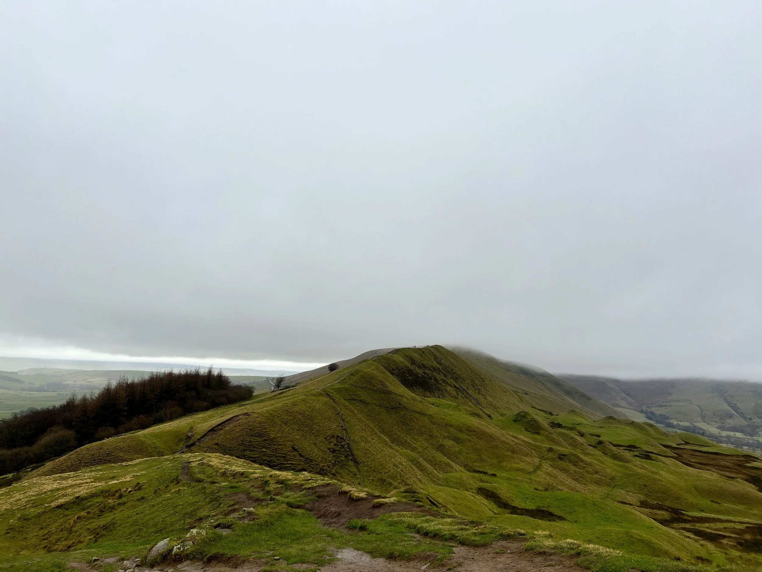 Strategic Perspective