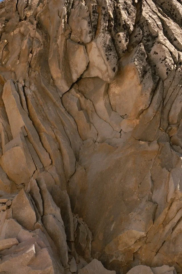 Translational Evidence Synthesis