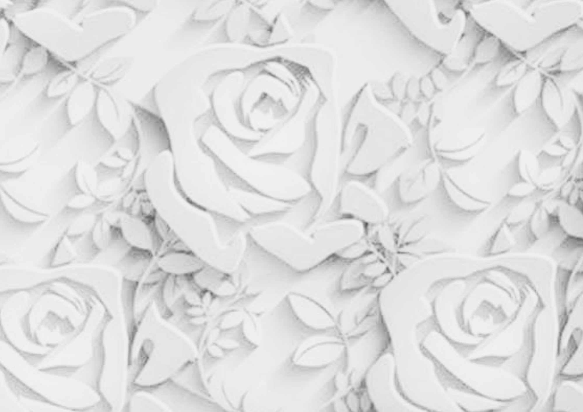 White Flower Wall
