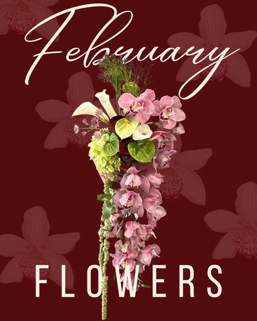 February Flowers 🌸

Every arrangement this month carried its own personality &mdash; soft, bold, sculptural, romantic.

Thank you for trusting me with your orders, your gifts, and your celebrations 🤍
Swipe through to see what February looked like. 