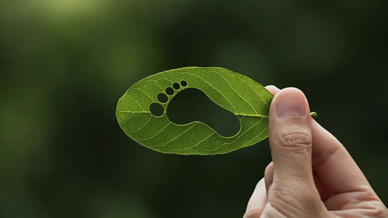 The Obscured 42%: What a Decade of Hidden Emissions Reveals