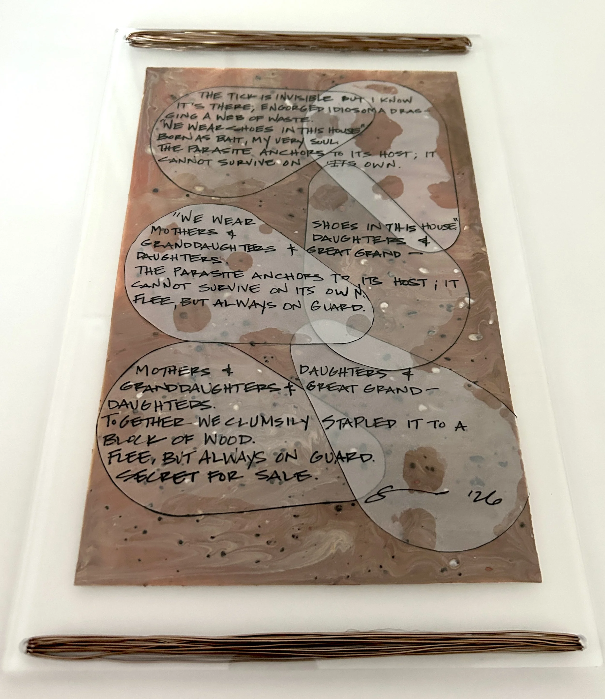 The Tick” Poem. “Acrylic, mylar, and pen on paper with plexiglass and aluminum frame. 15”h x 9.5”w. 2026. $222.