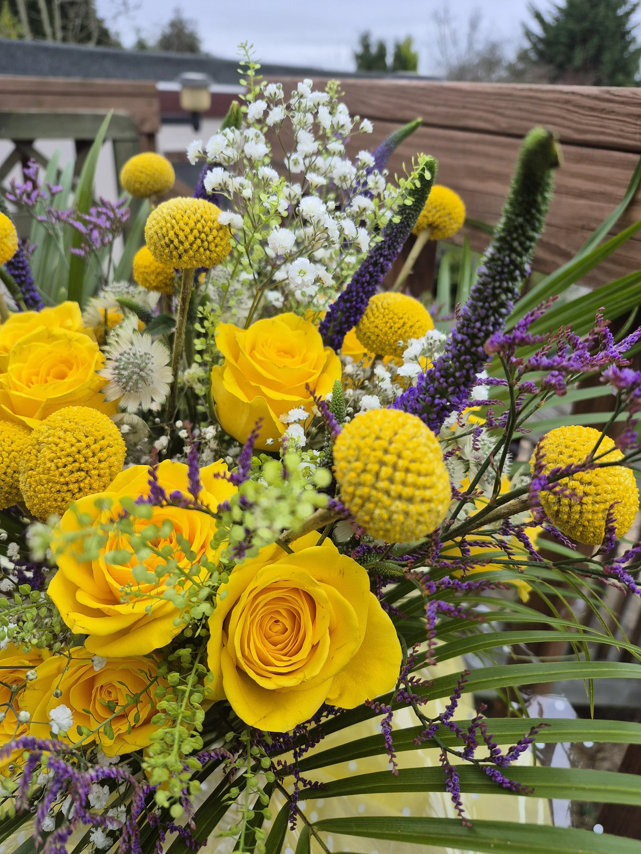 20260306_141317 (1).jpg