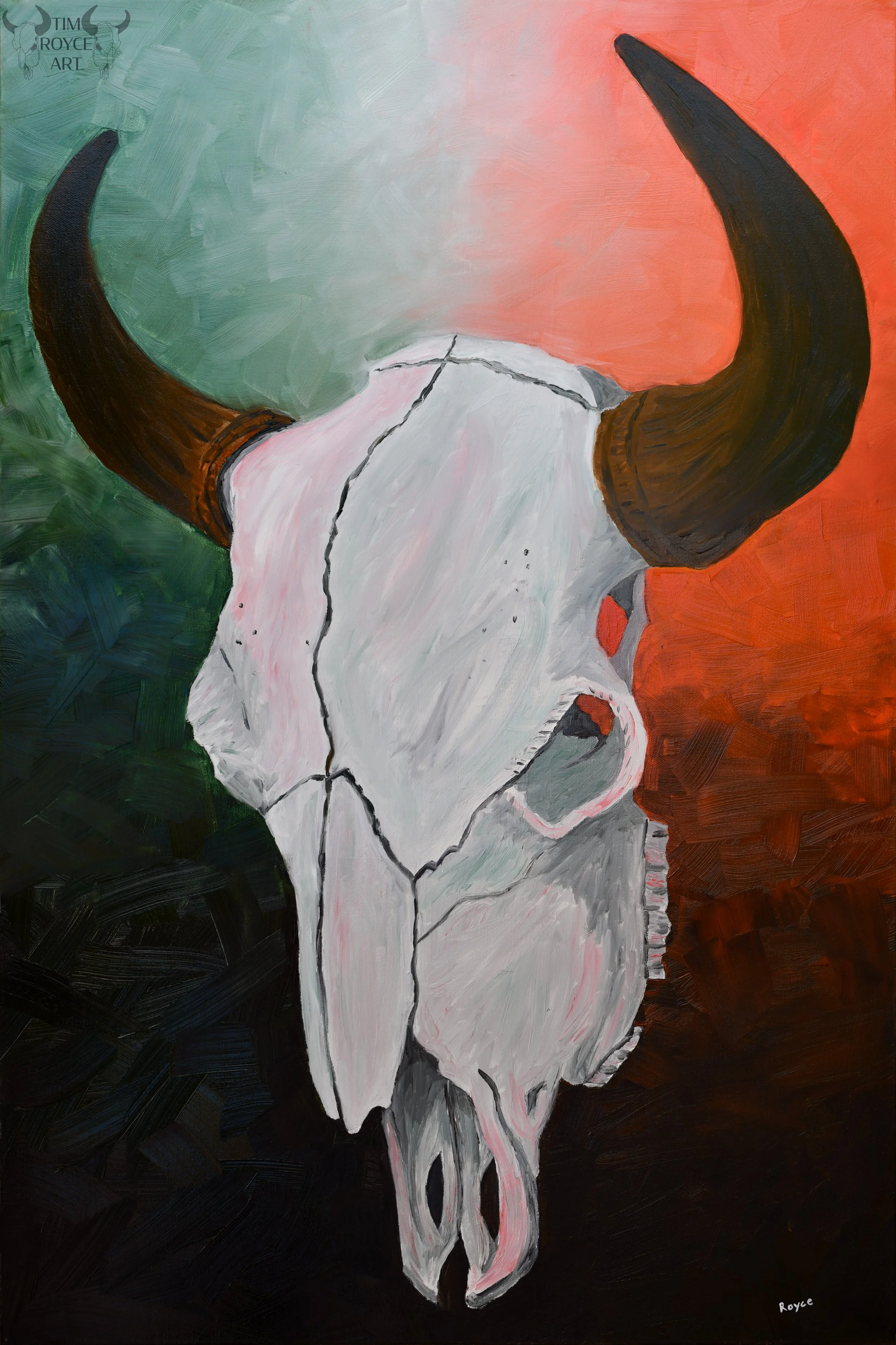 Buffalo Skull #5