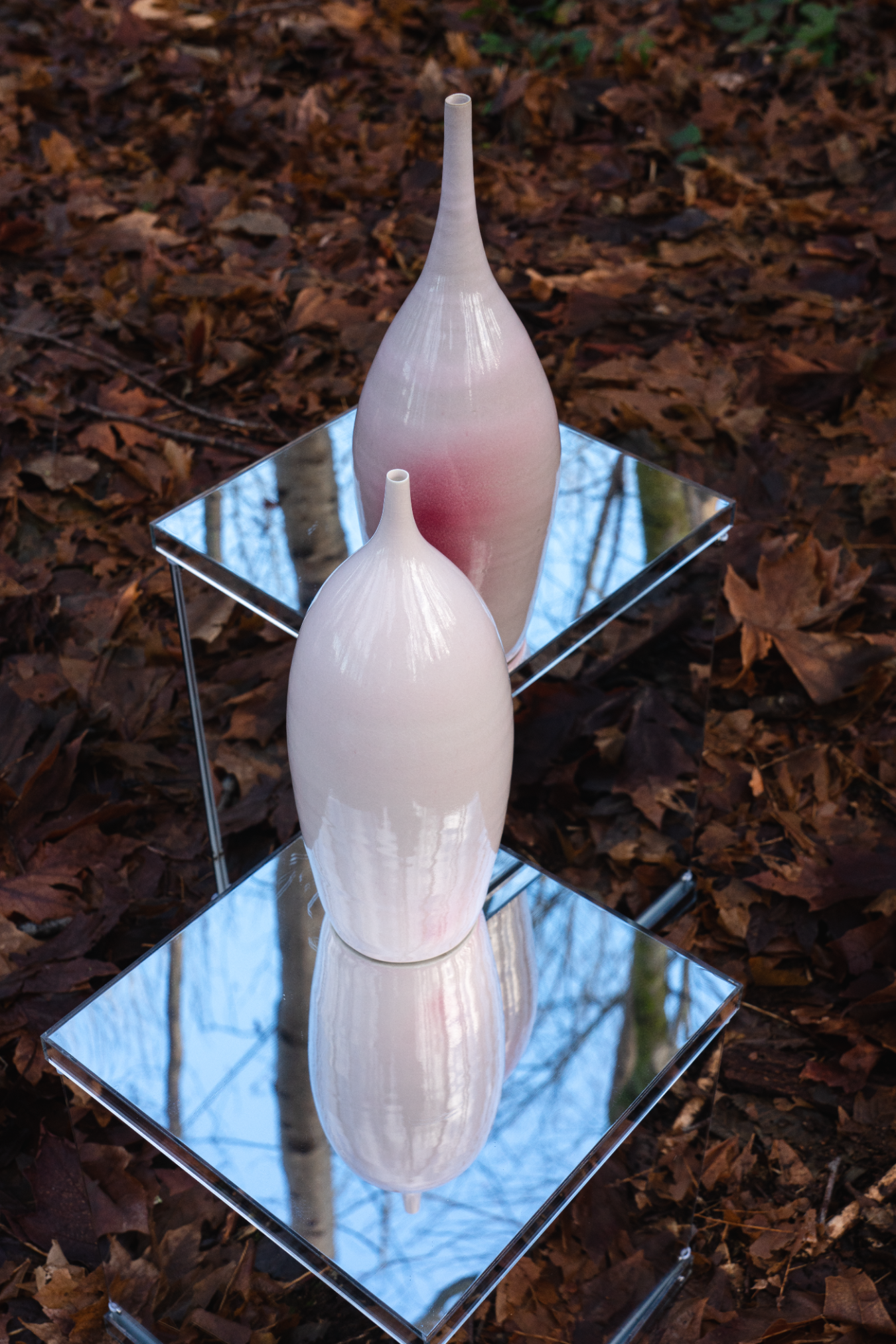 Intimate Collection 8. (resized).PNG