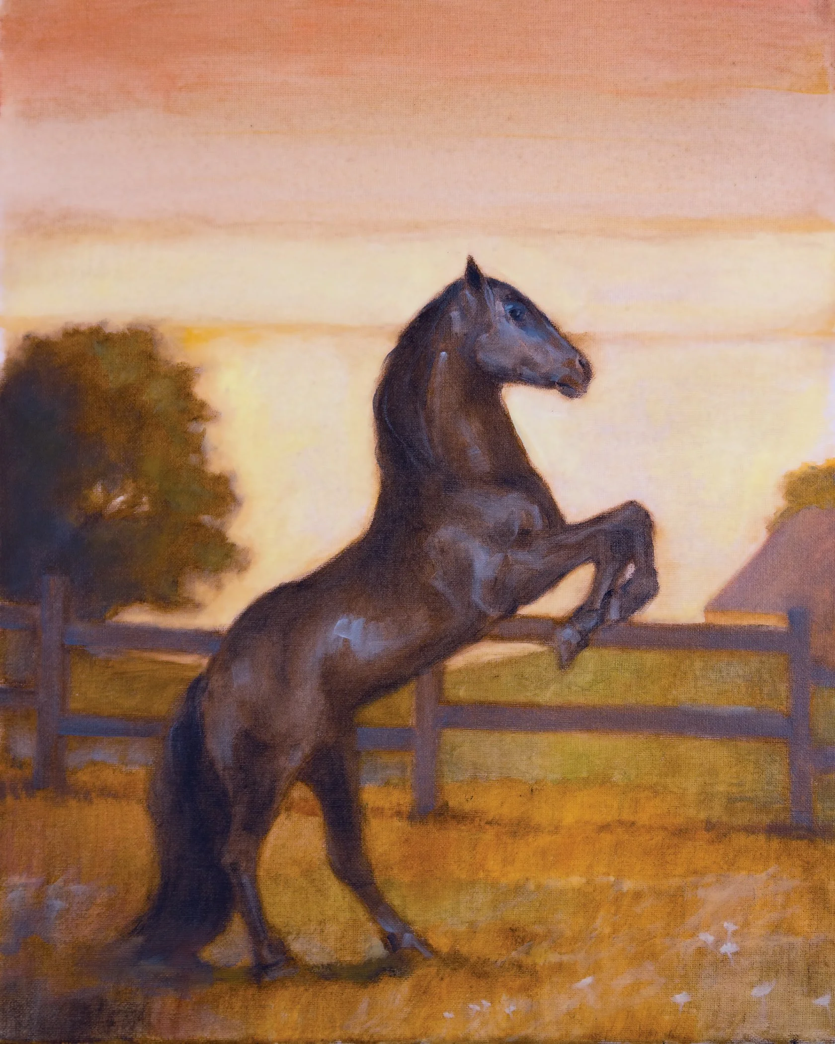 Black Beauty, 16x20, oil on canvas