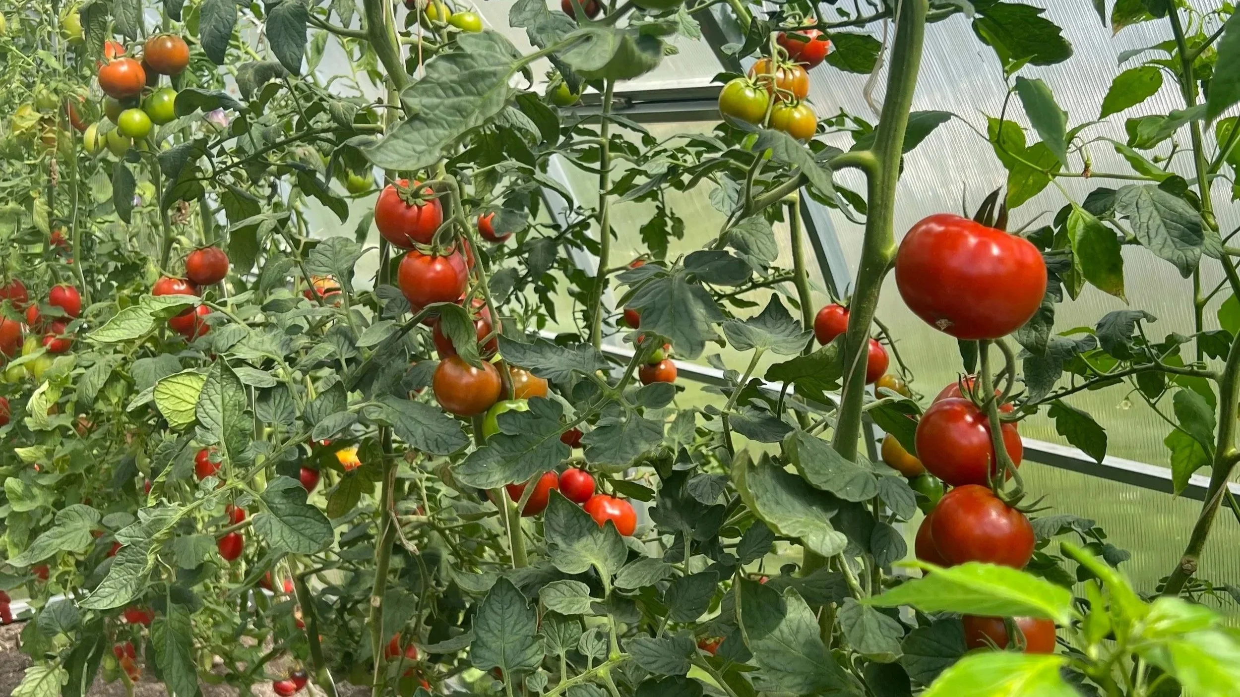 Diversification in Plain English