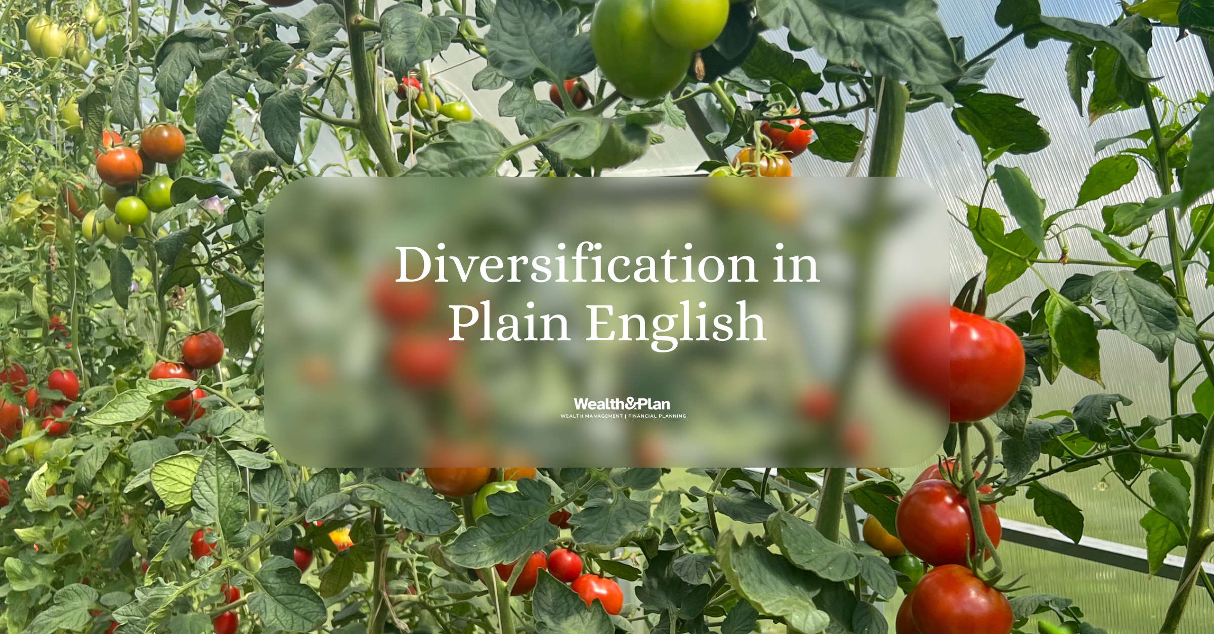 Diversification in Plain English