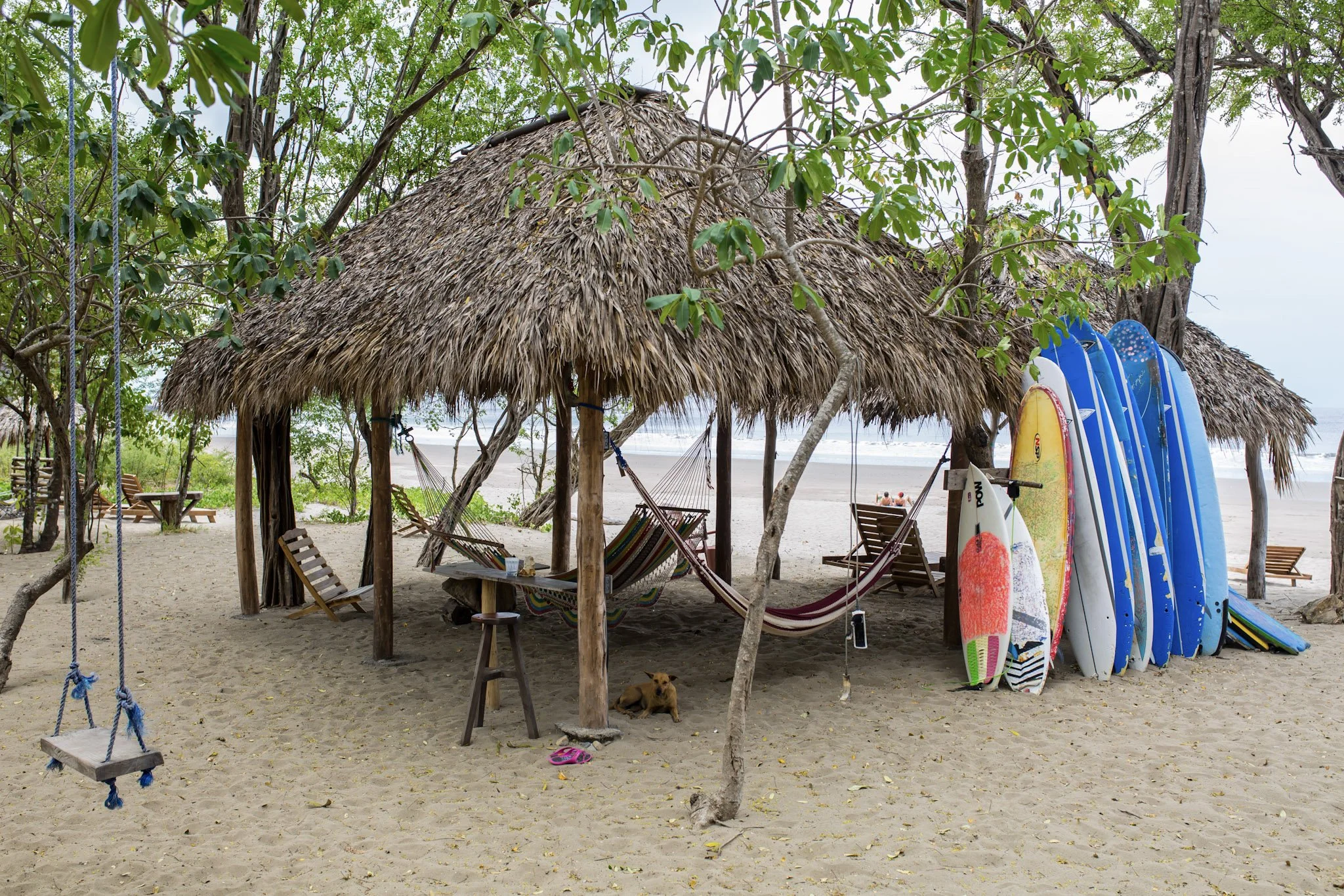 live in a shack. live your dreams