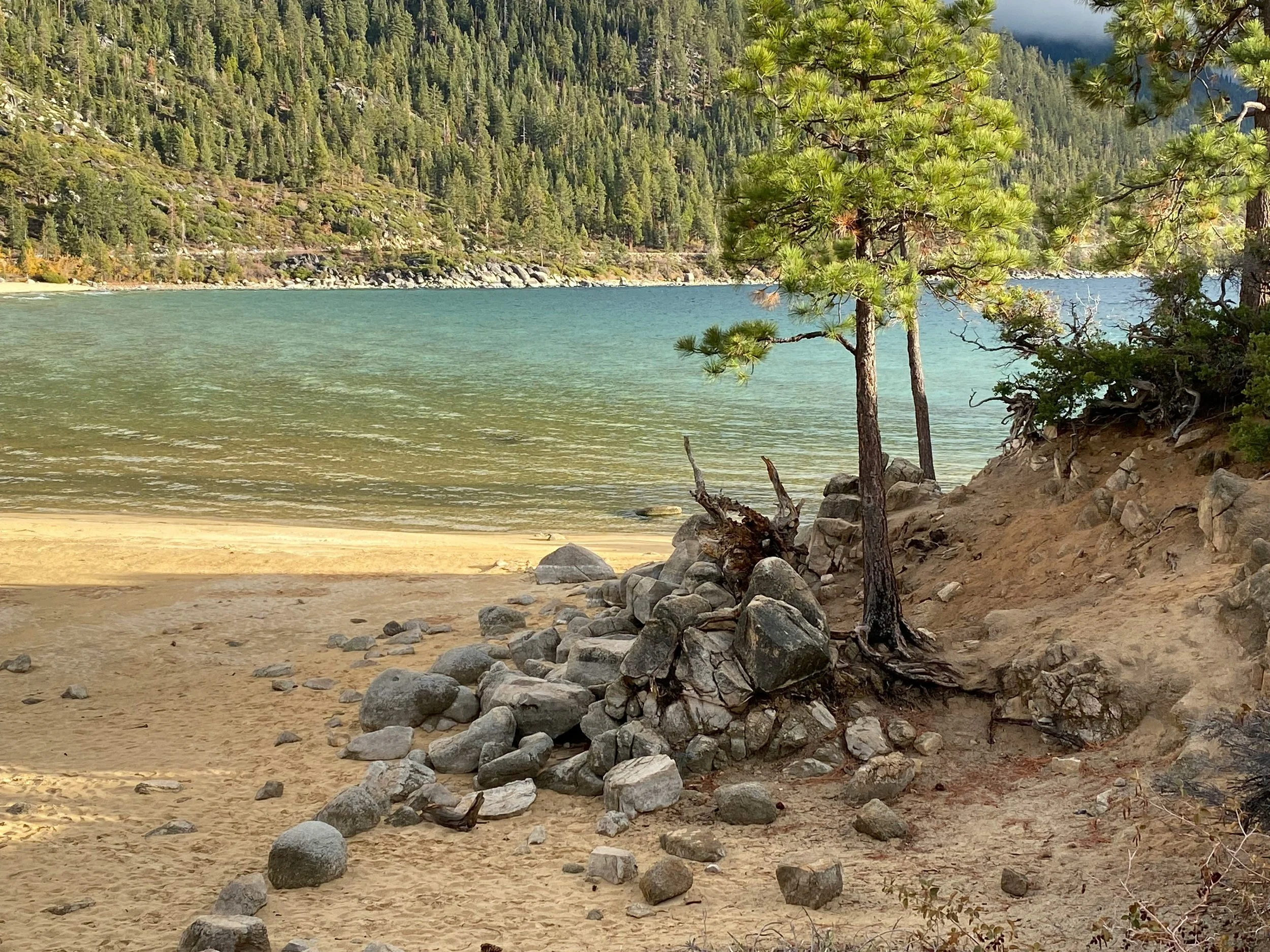 A lakeside scene in Lake Tahoe, Nevada with sandy beach, rocks, and evergreen trees, overlooking a calm turquoise lake and forested mountains in the background.