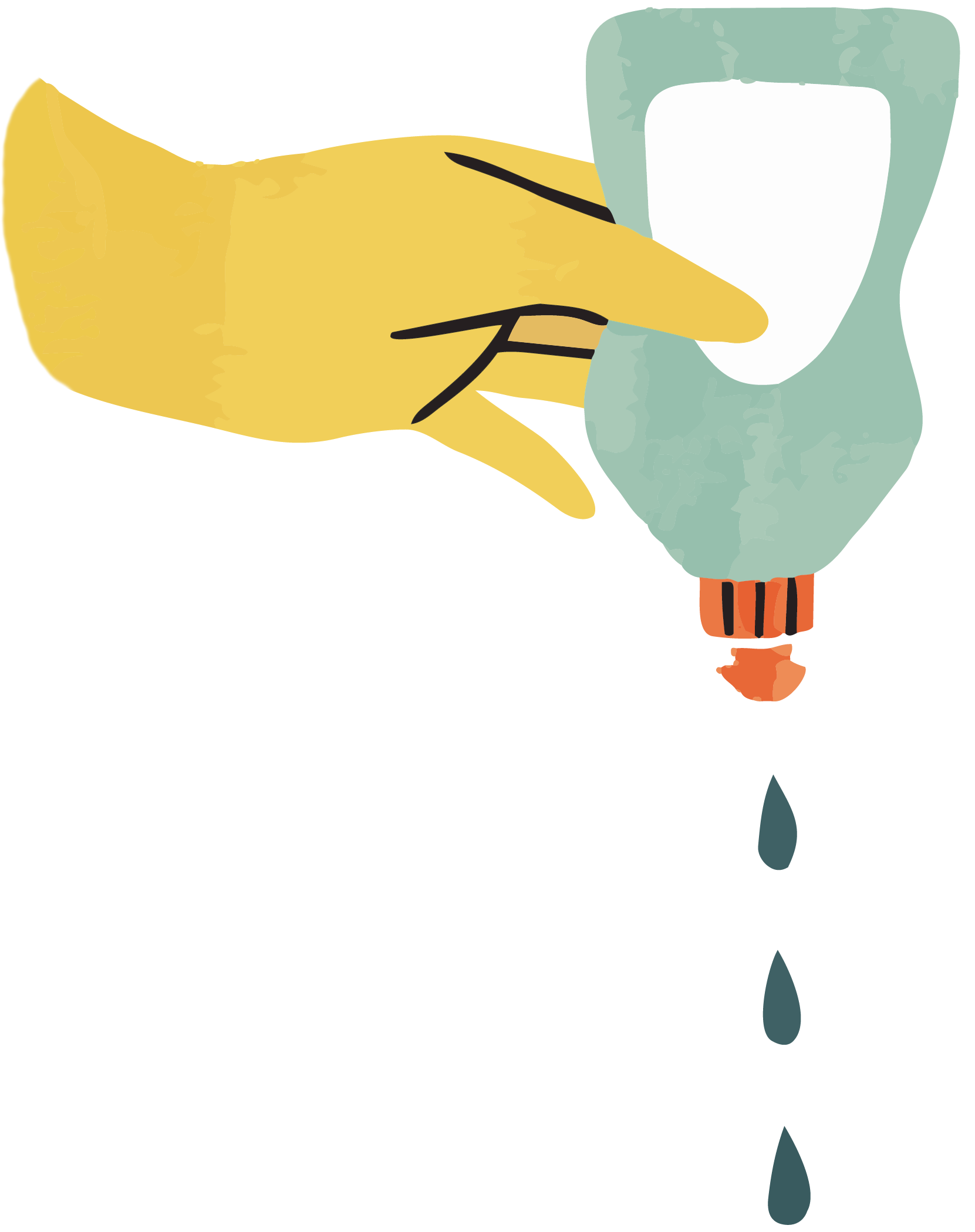 Eco Friendly Cleaning Company Springfield MO | Clover Cleaning