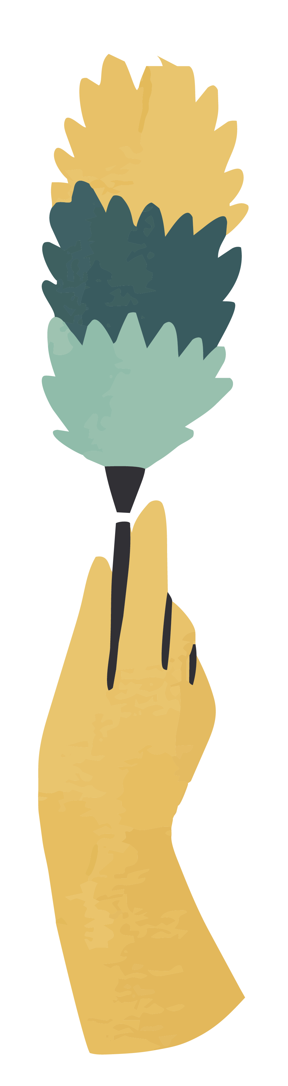 Eco Friendly Cleaning Company Springfield MO | Clover Cleaning