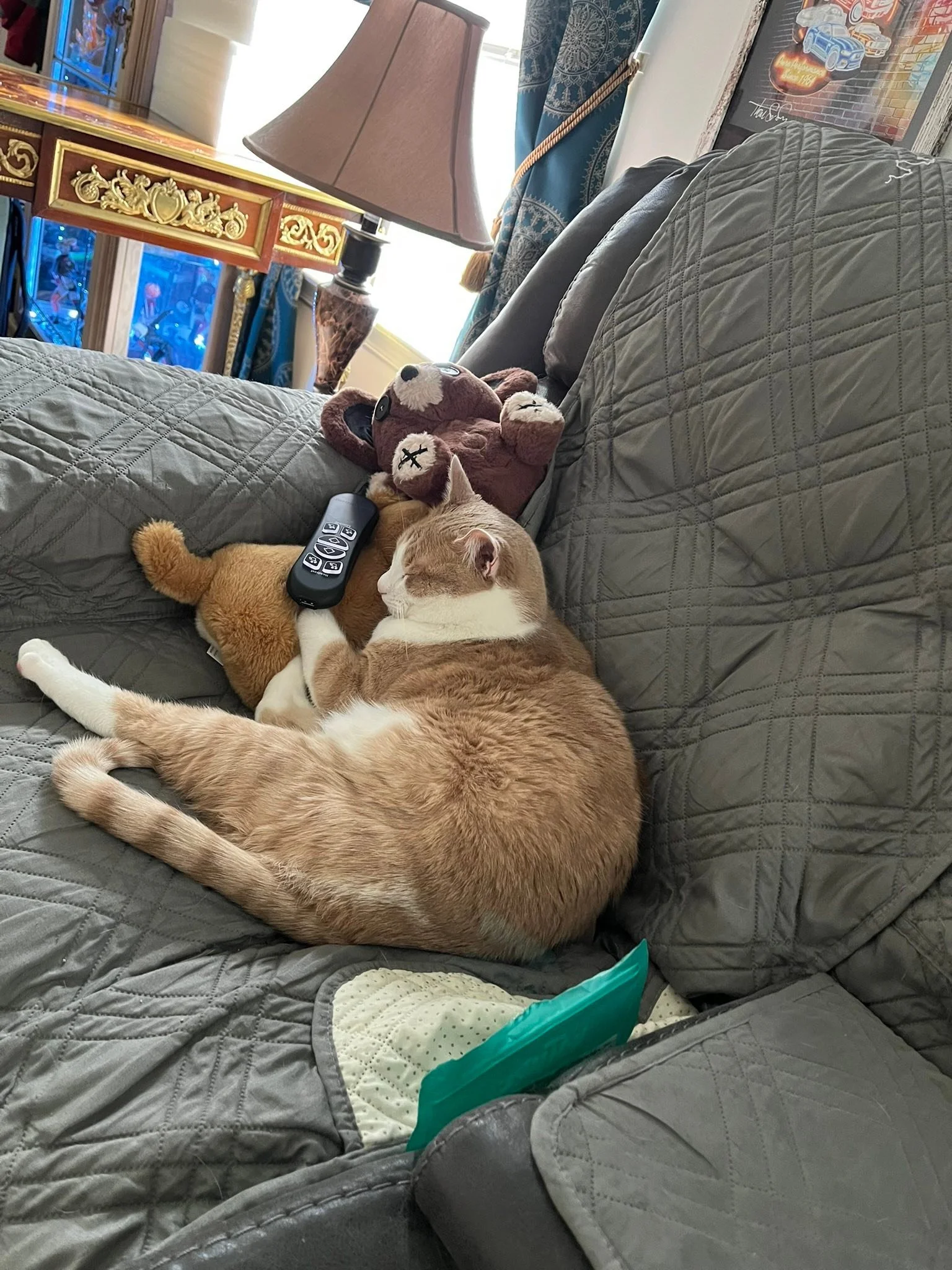 Dad caught Percy being adorable yesterday.