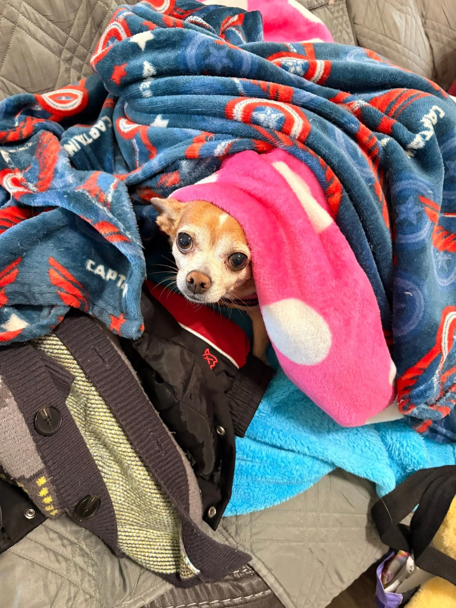 They&rsquo;re being adorable for some reason.